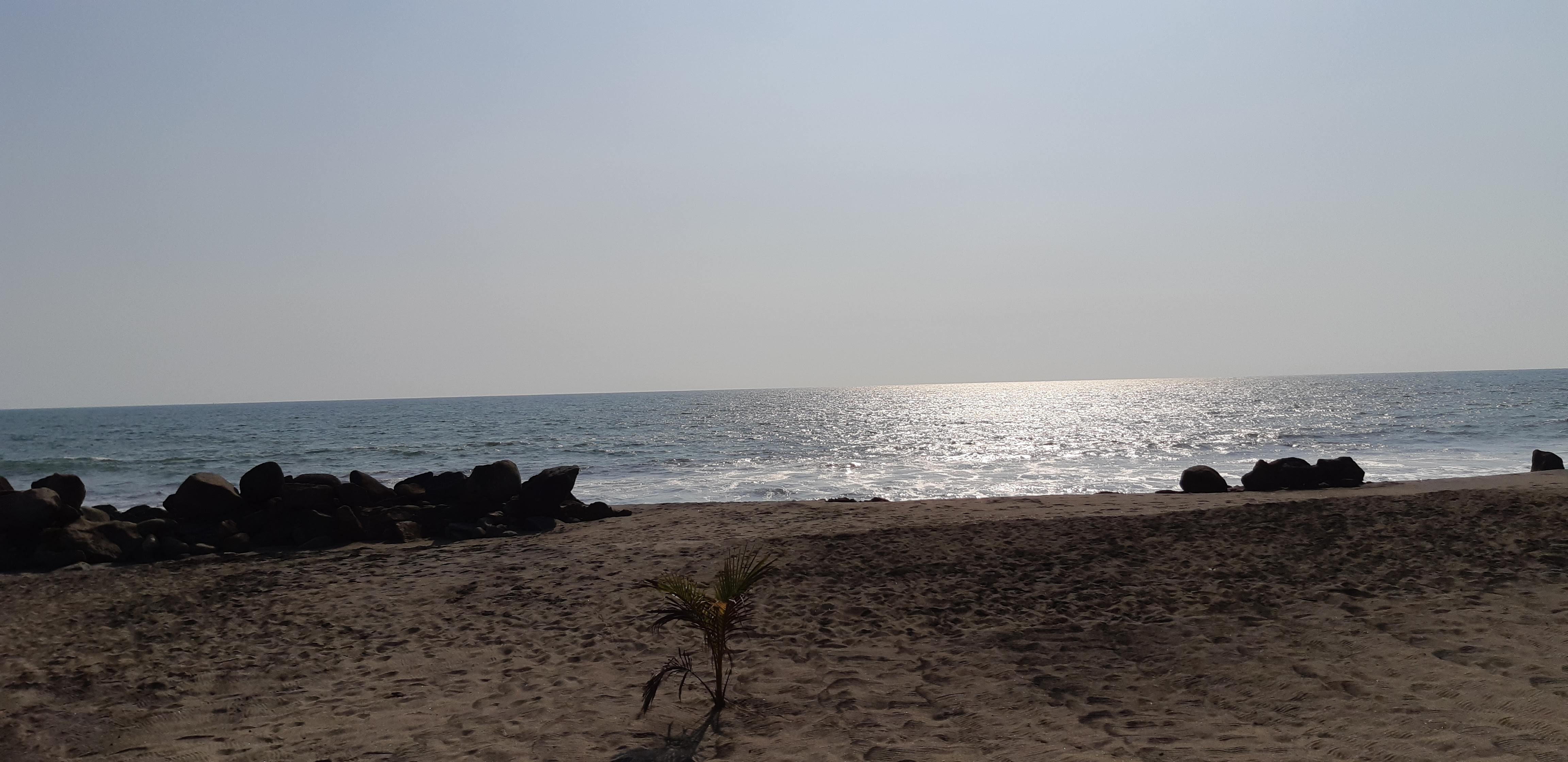 RESTAURANTE CHALO ESTRADA image 6