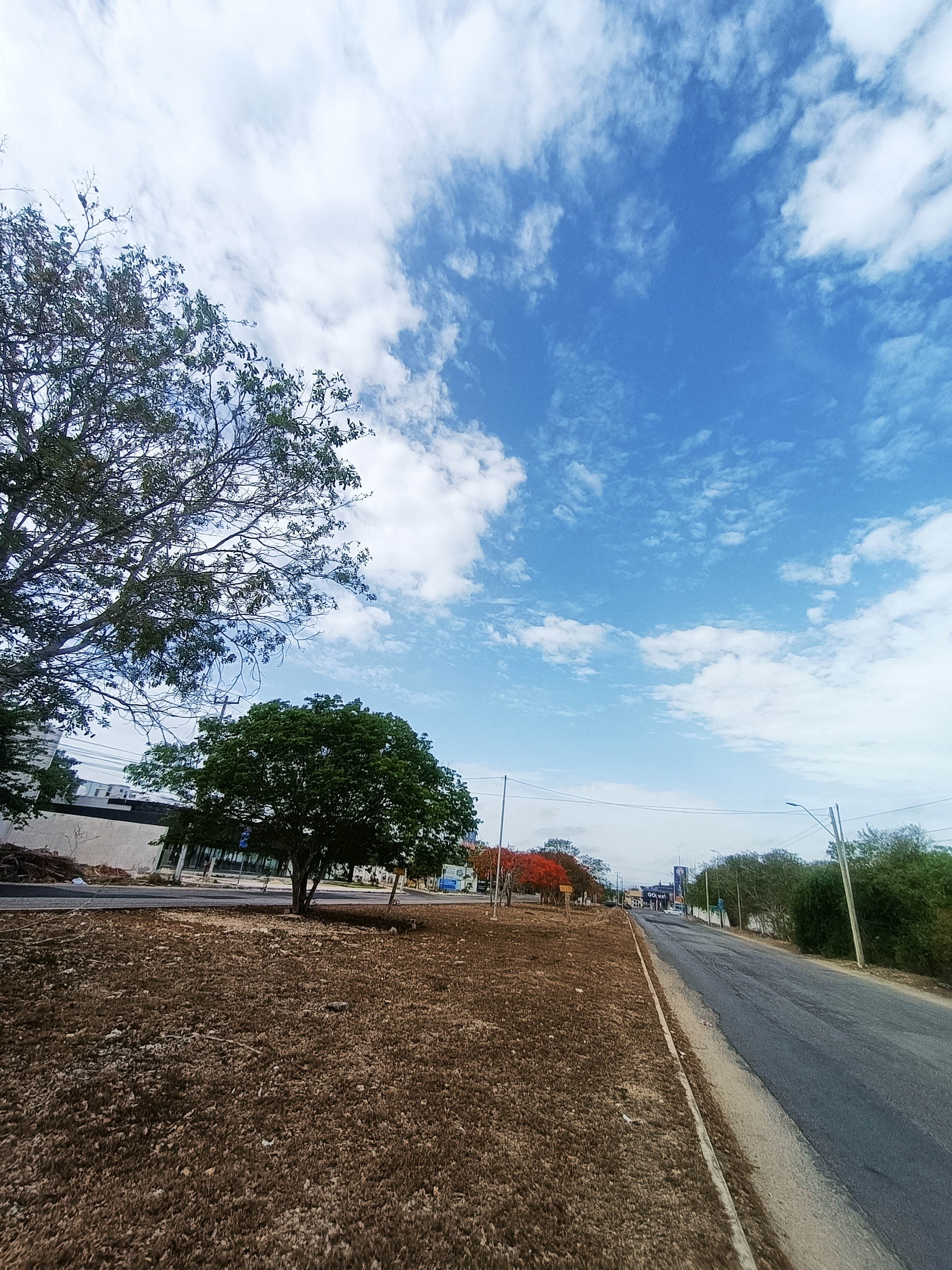 Las Tapatías Las Américas image 2