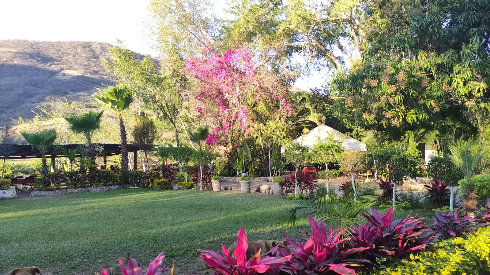 El Mirador image 3