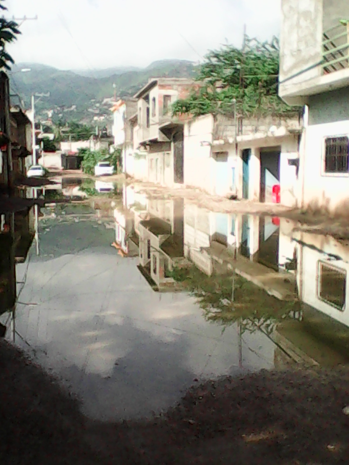 Torteria "La Palma" image 2