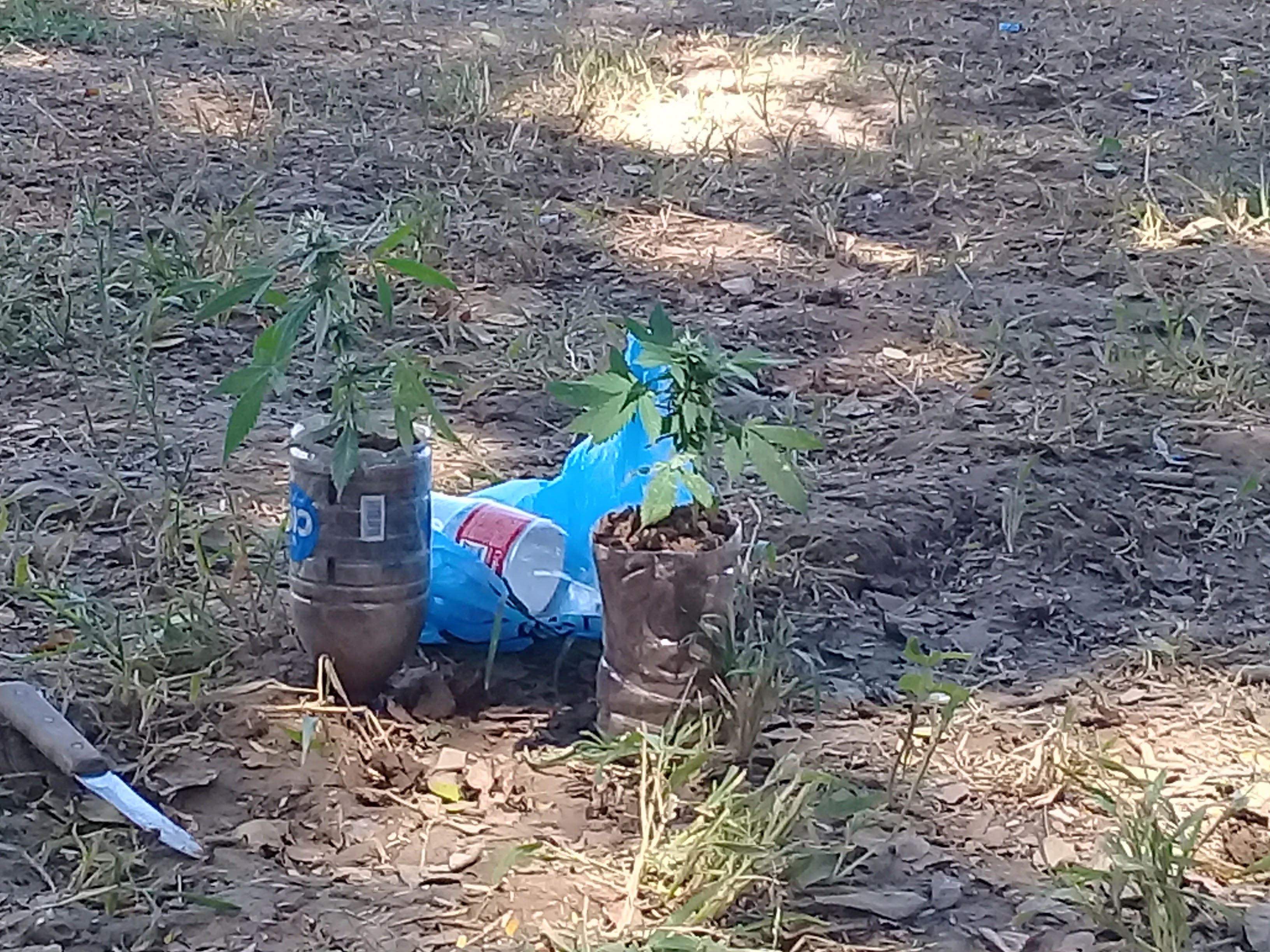 Pozoleria El Patio image 2