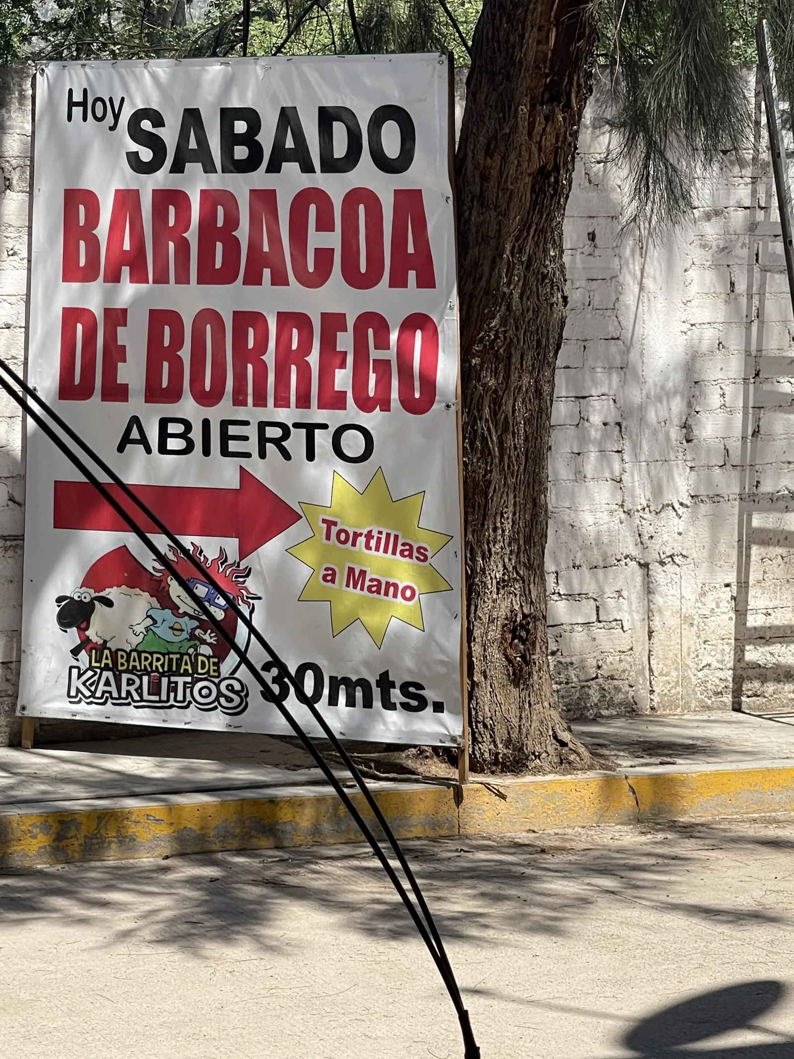 BARBACOA DE BORREGO "LA BARRITA DE KARLITOS" image 7