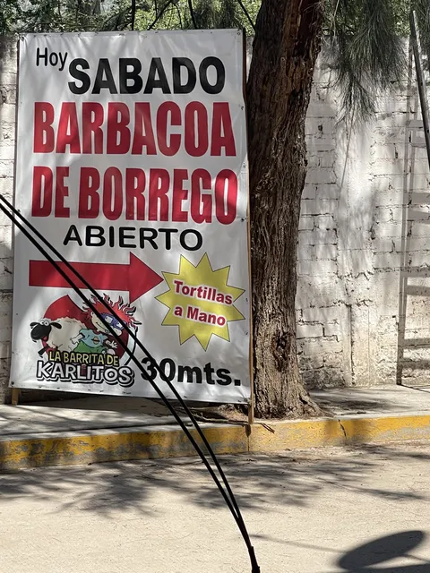 BARBACOA DE BORREGO "LA BARRITA DE KARLITOS" image 7