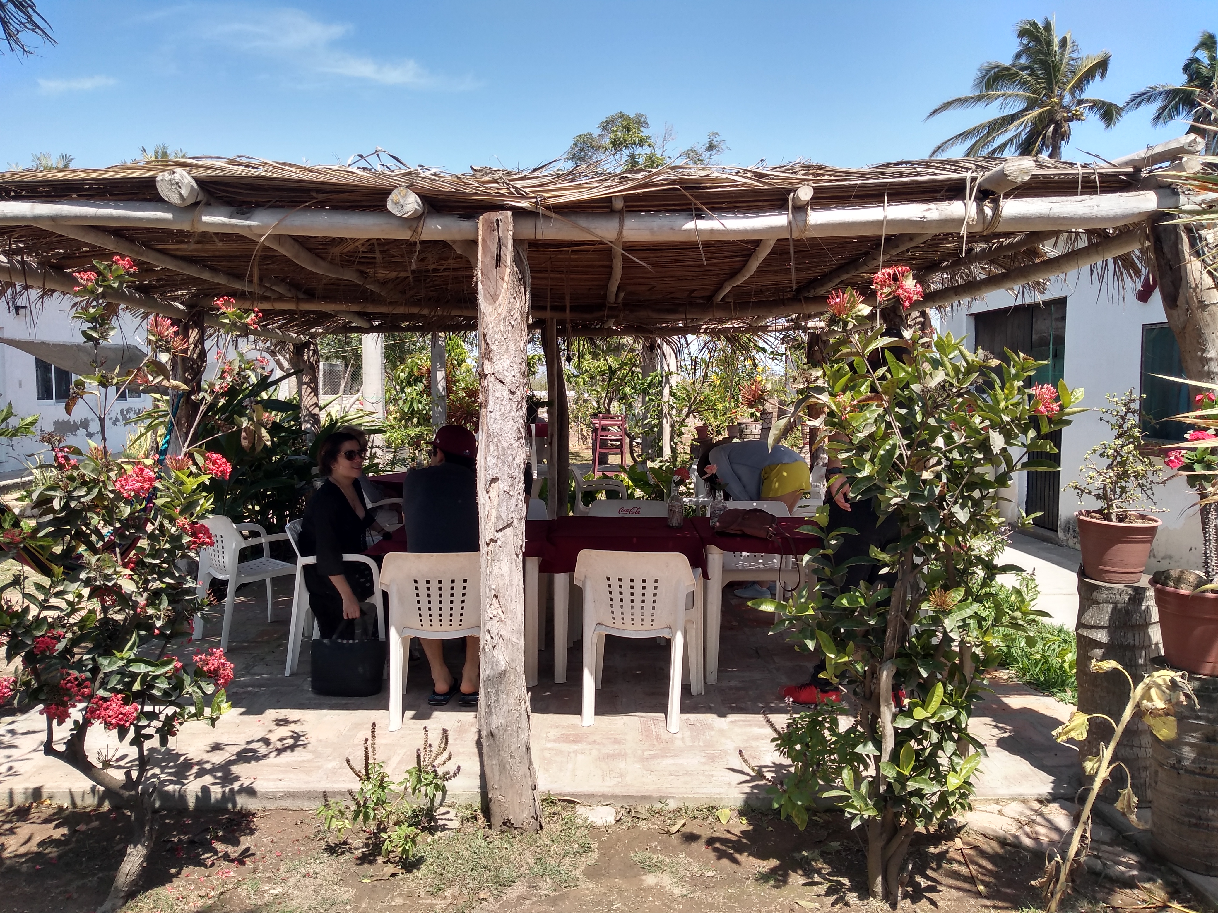 Eco-Paradise image 2