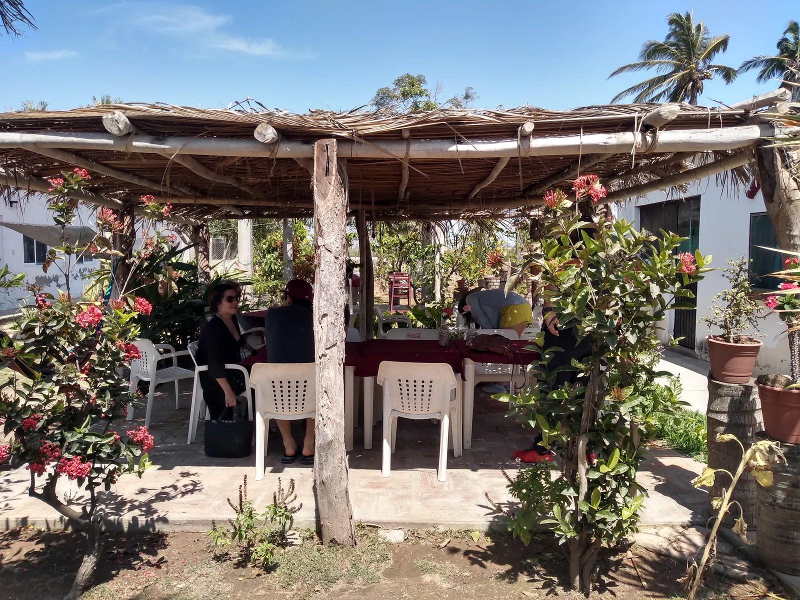 Eco-Paradise image 2