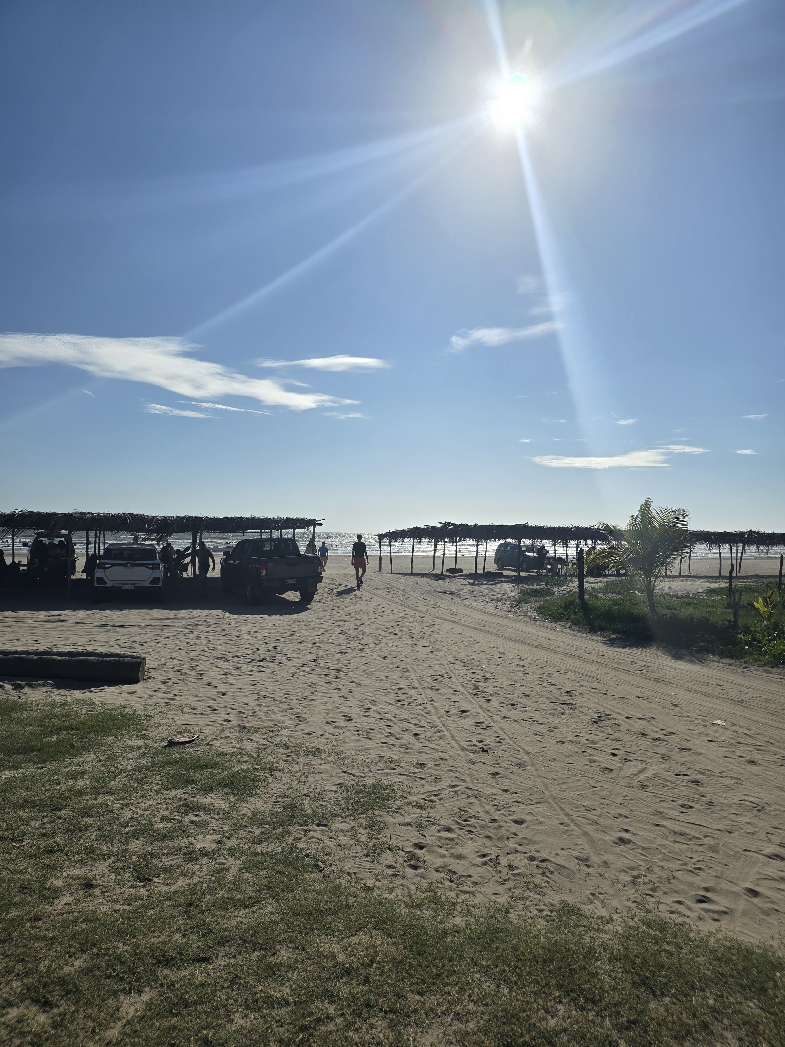 Restaurante Palma image 6