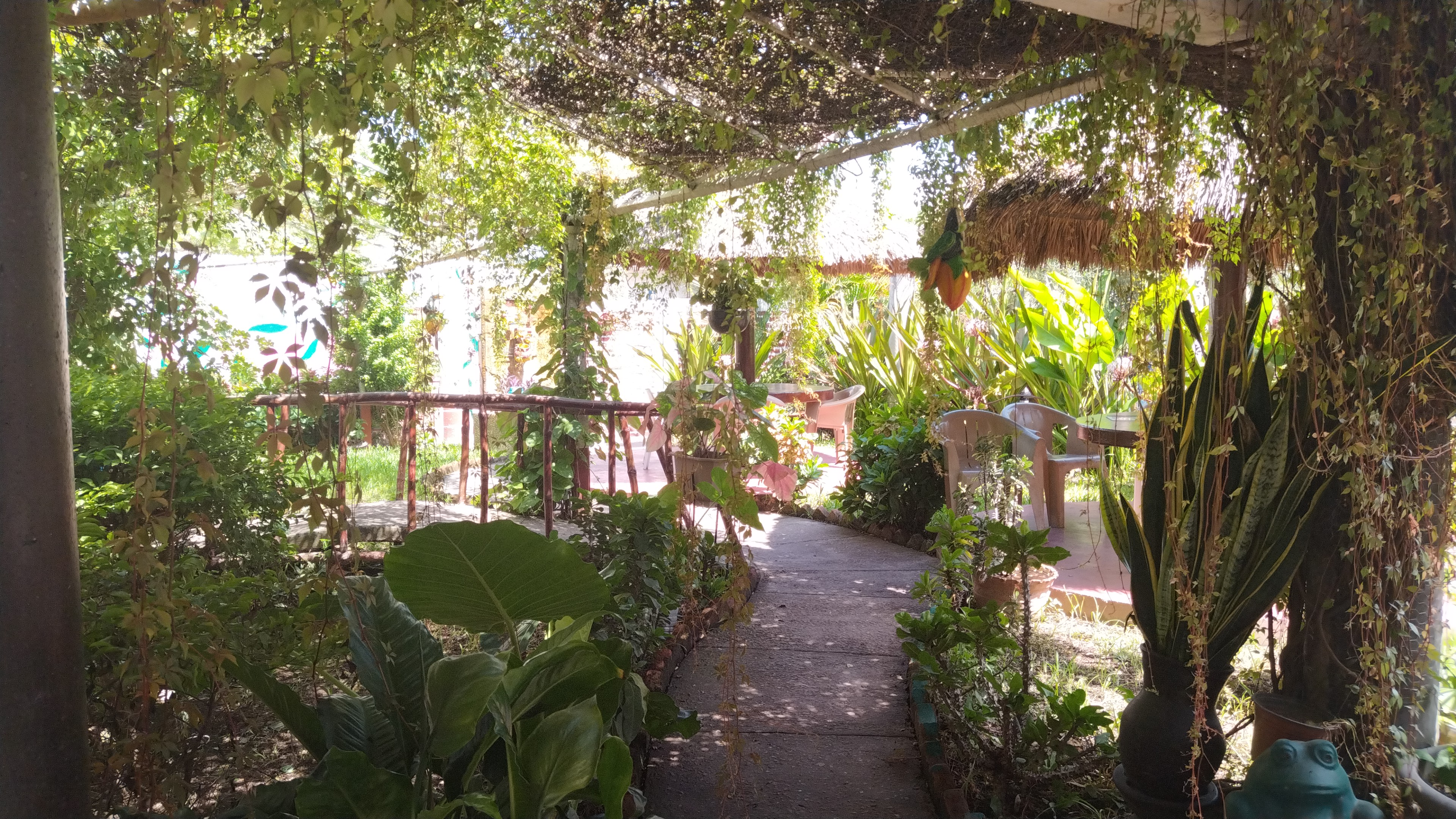 Restaurante Bugambilias image 5