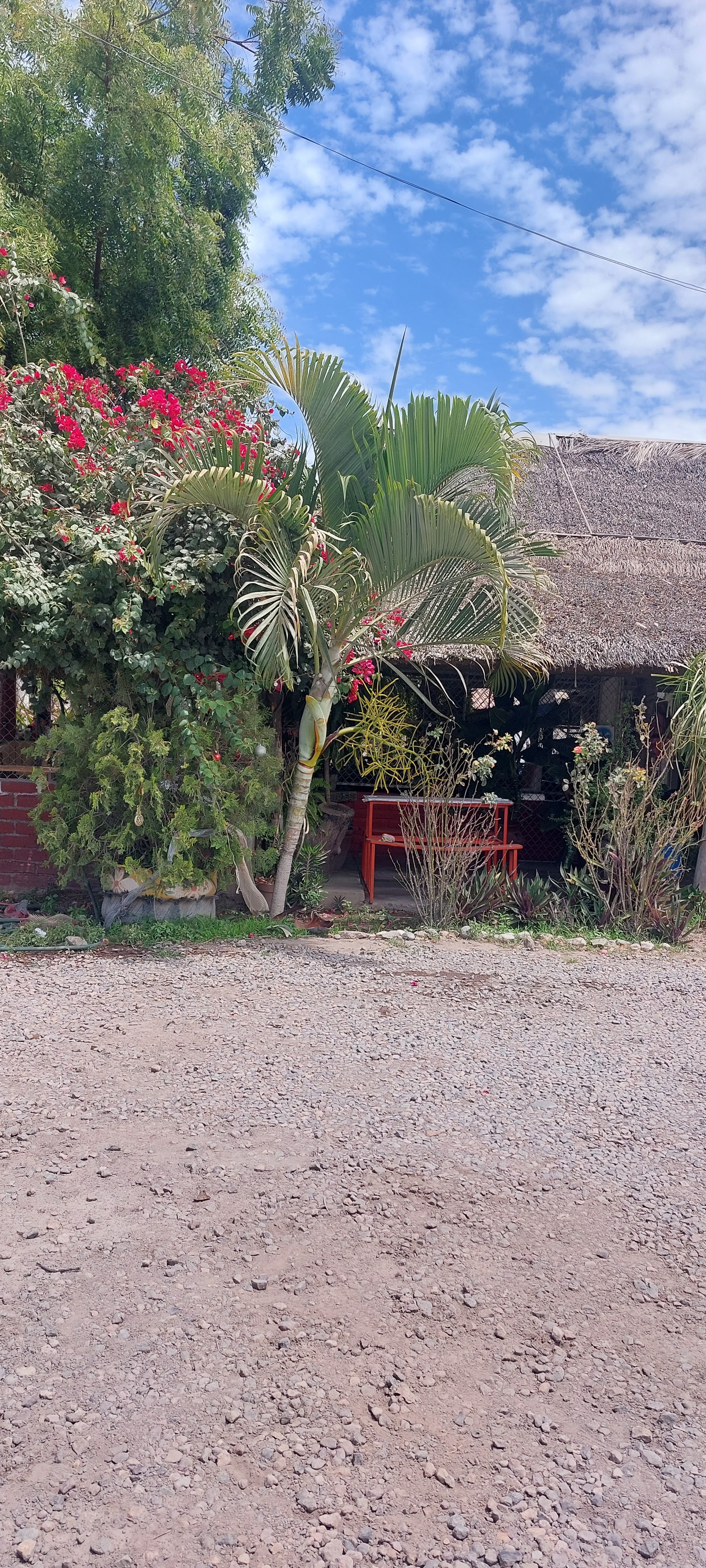 Restaurante Bugambilias image 10