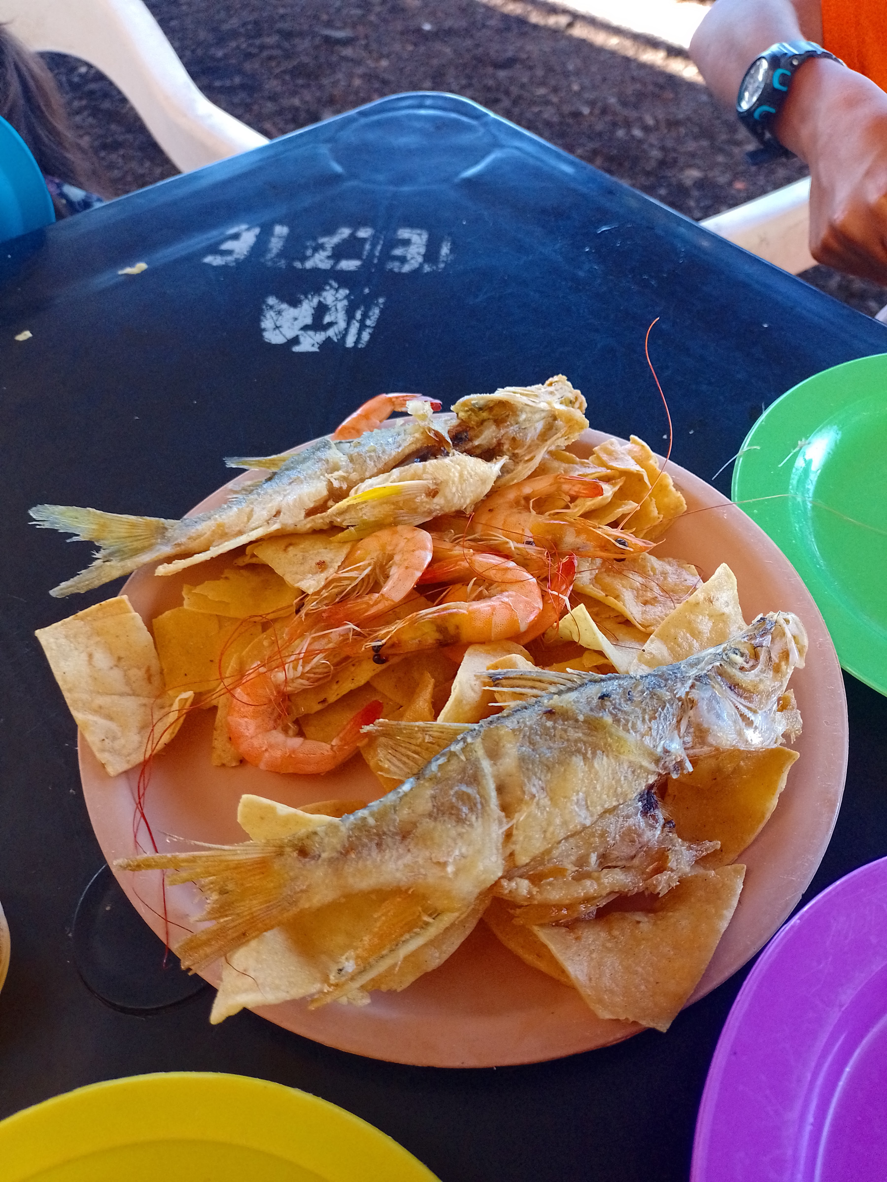 Centro Botanero El Crucero de Río Viejo image 1