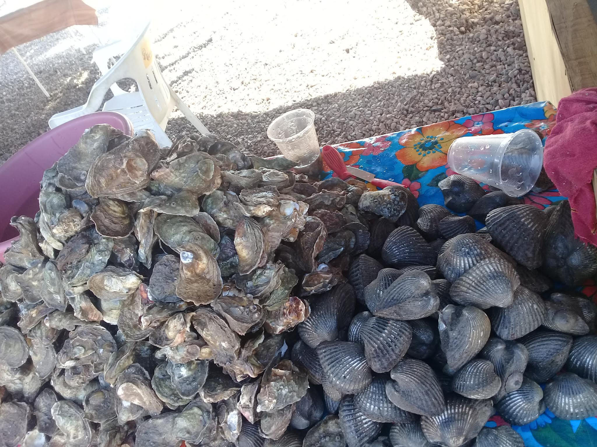 Marisquería "La Palapita" image 3