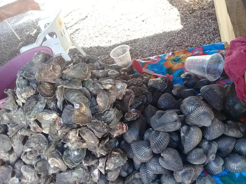 Marisquería "La Palapita" image 3
