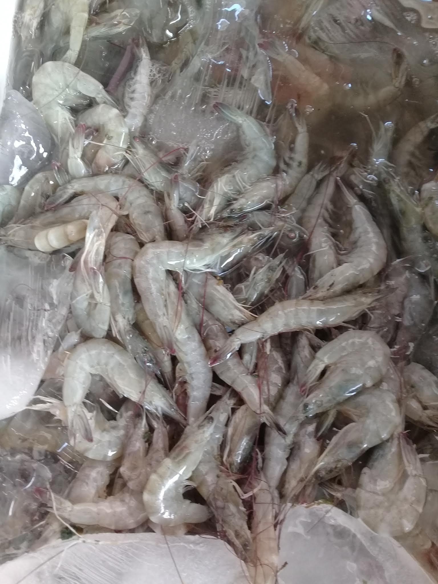 Marisquería "La Palapita" image 6