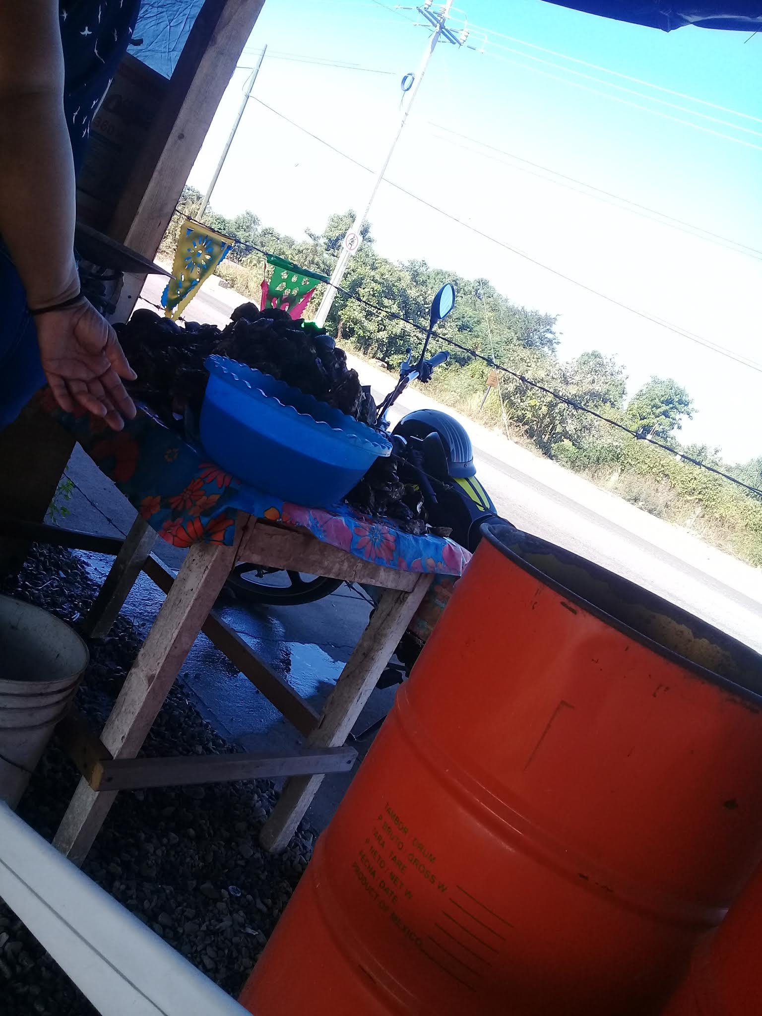 Marisquería "La Palapita" image 9