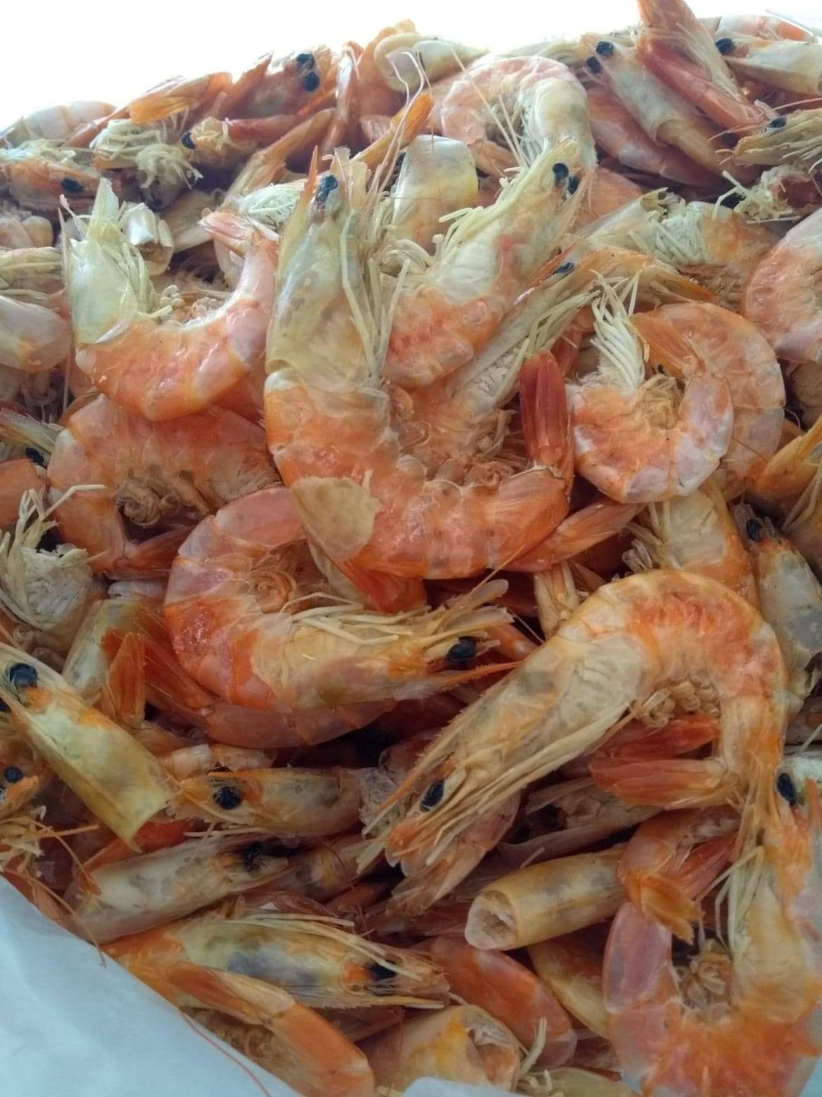 Mariscos "Circe" image 7