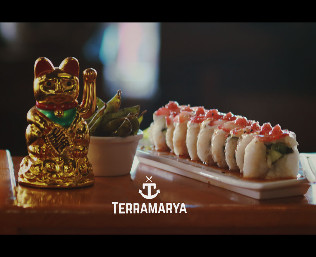 Terramarya image 2