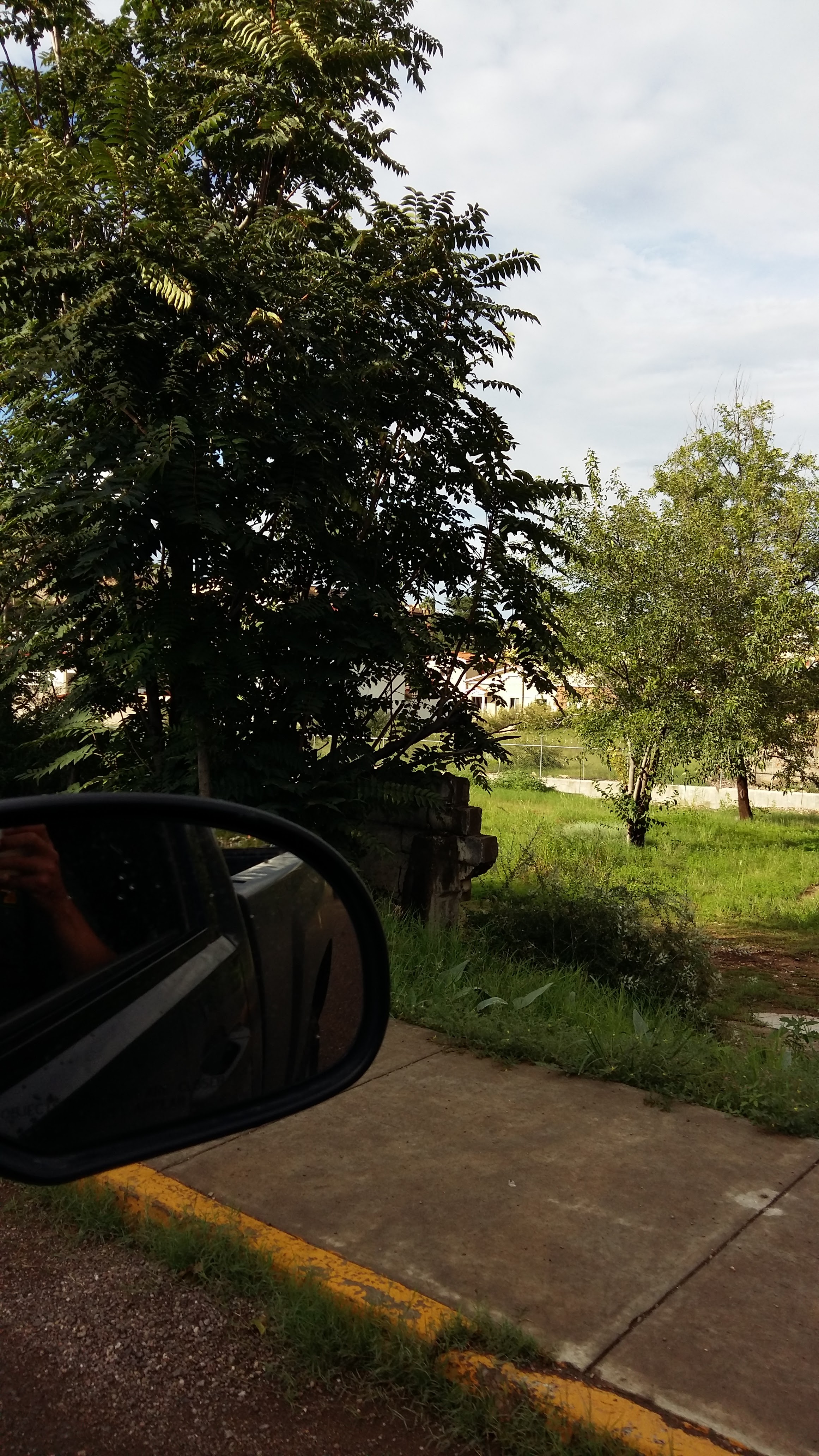 Restaurant Kim Long image 8