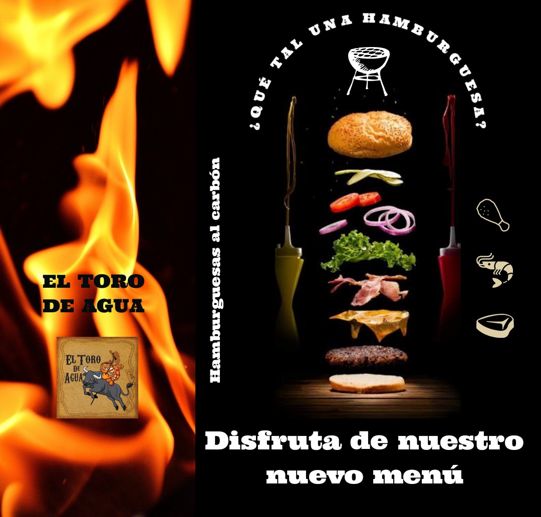 El Toro de Agua image 1