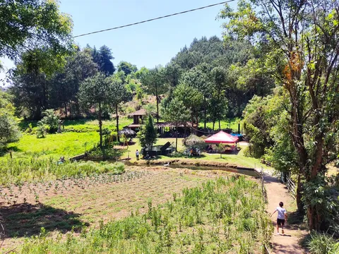 TRUCHAS ATZALAN image 4