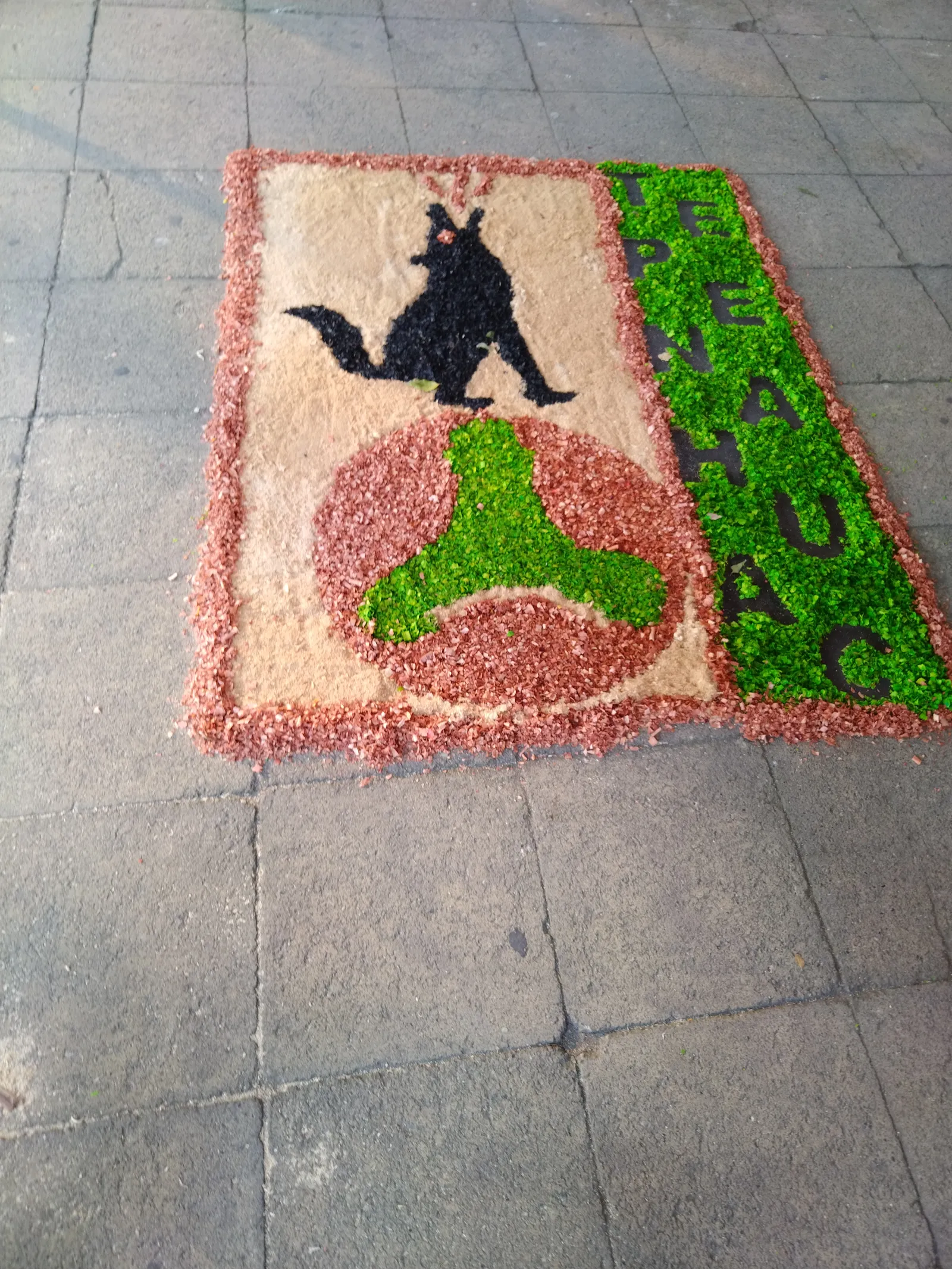 Tetelco image 3