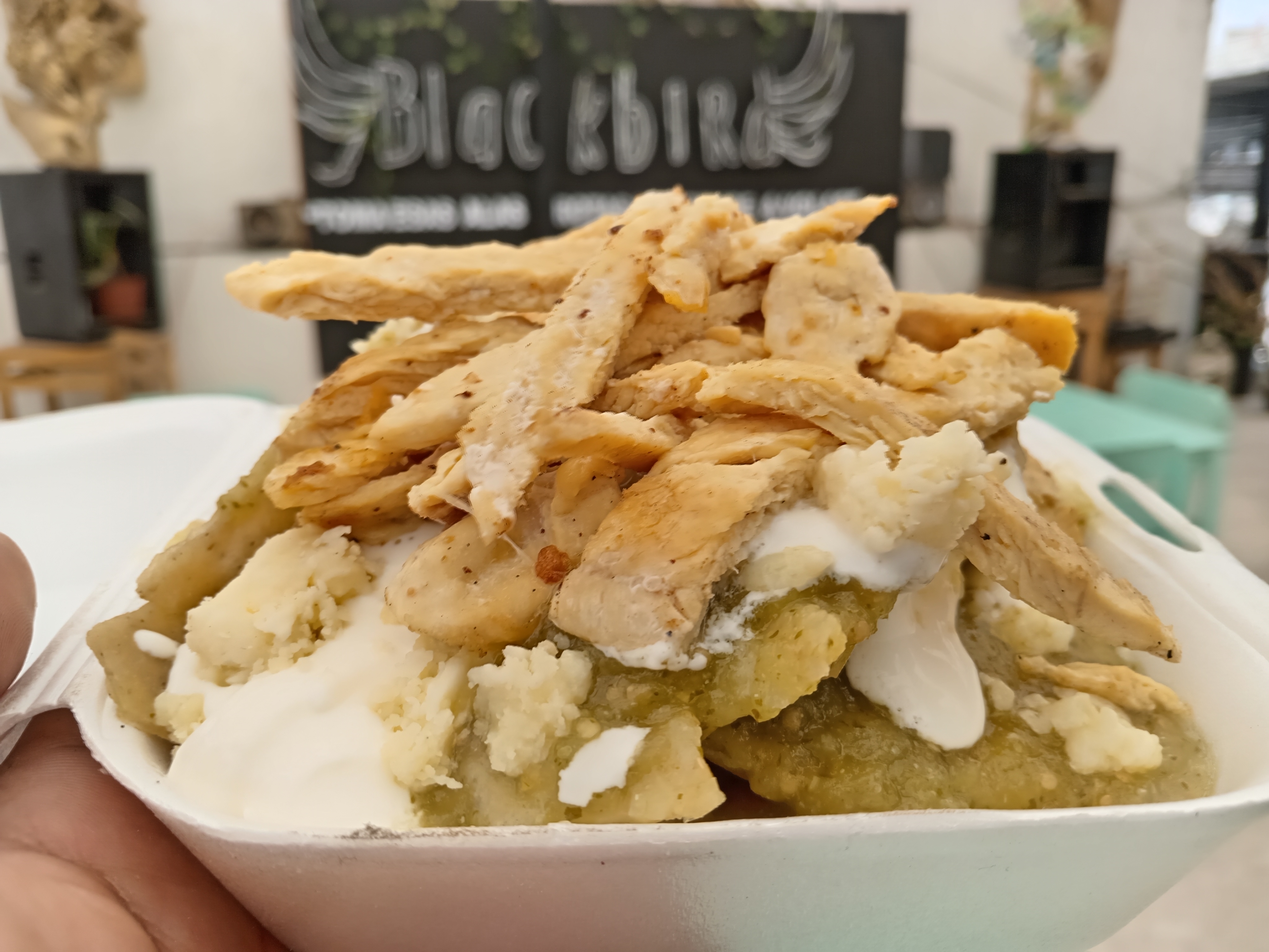 Blackbird Tecómitl image 8