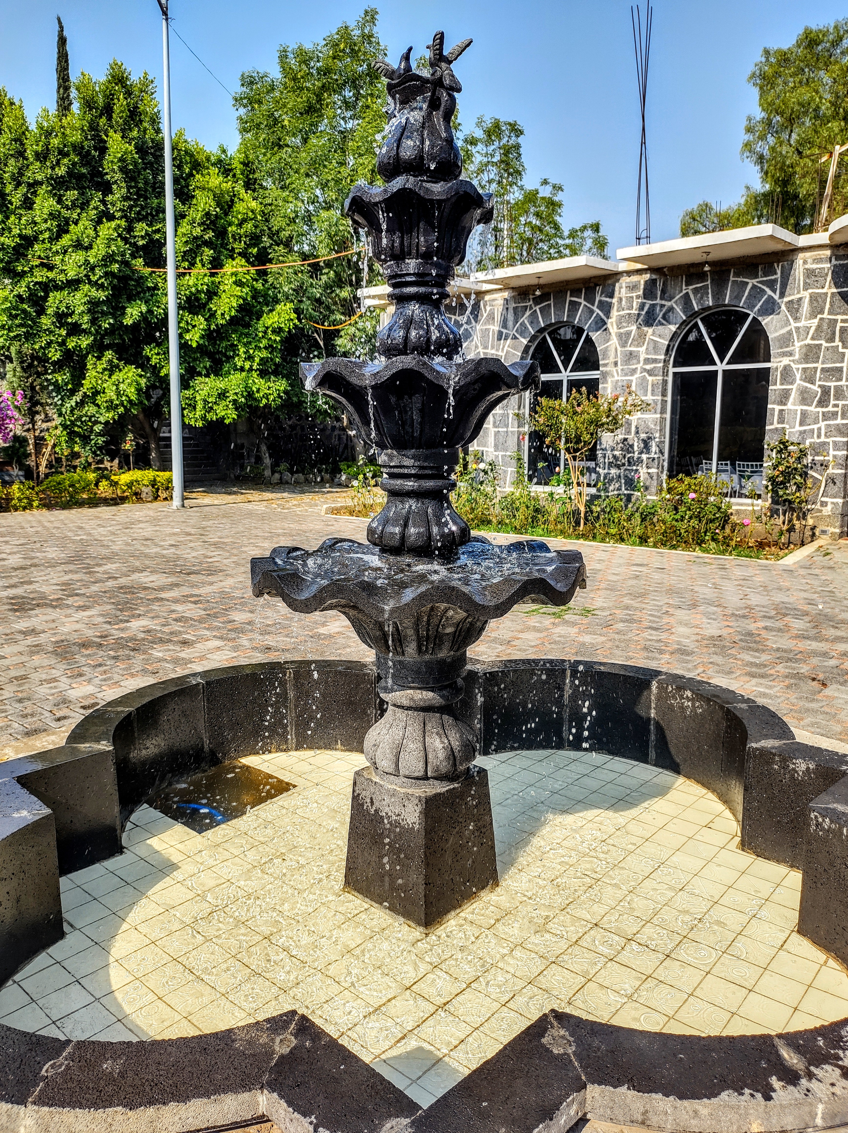 Los Colibríes image 3