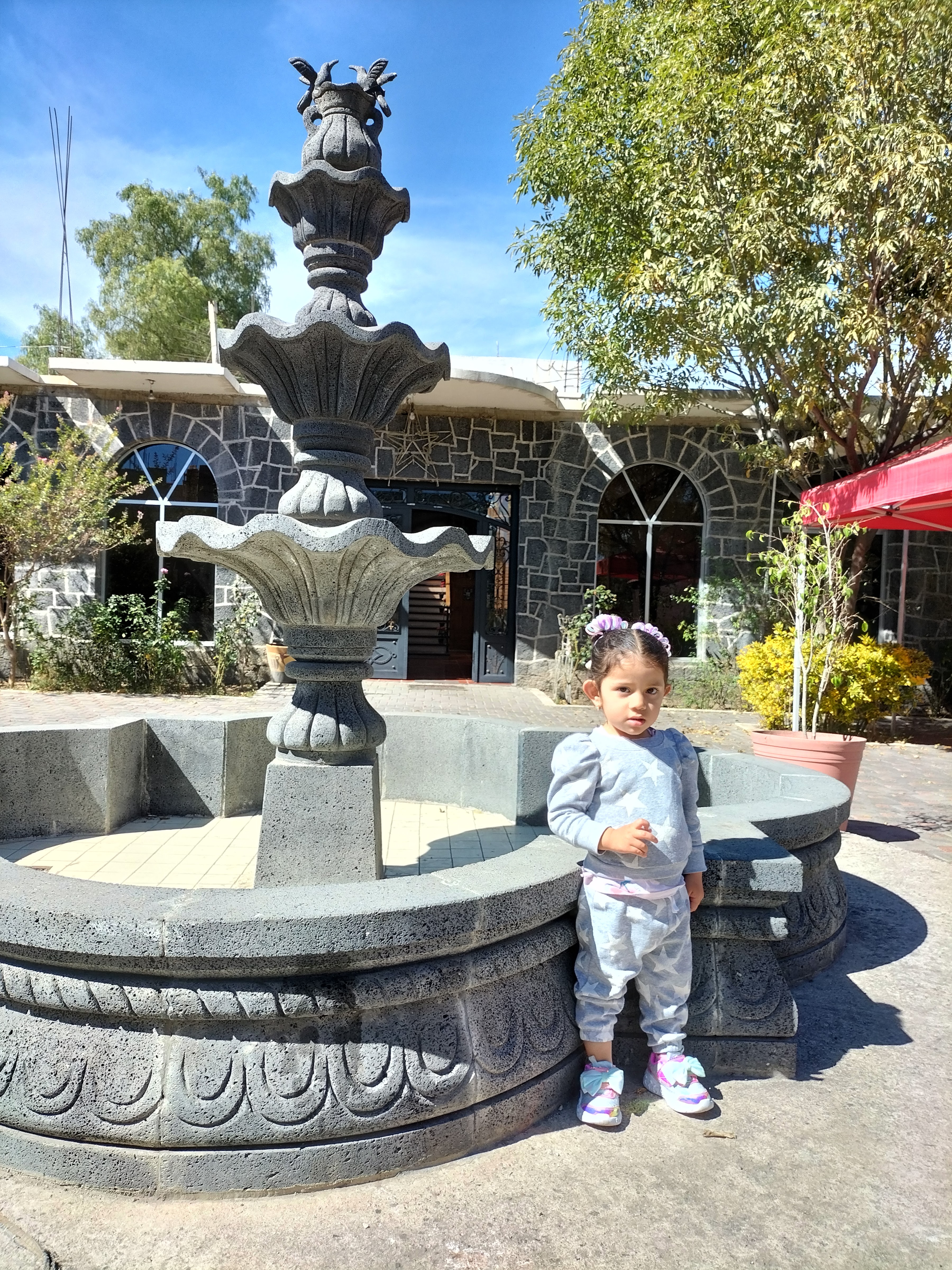 Los Colibríes image 5