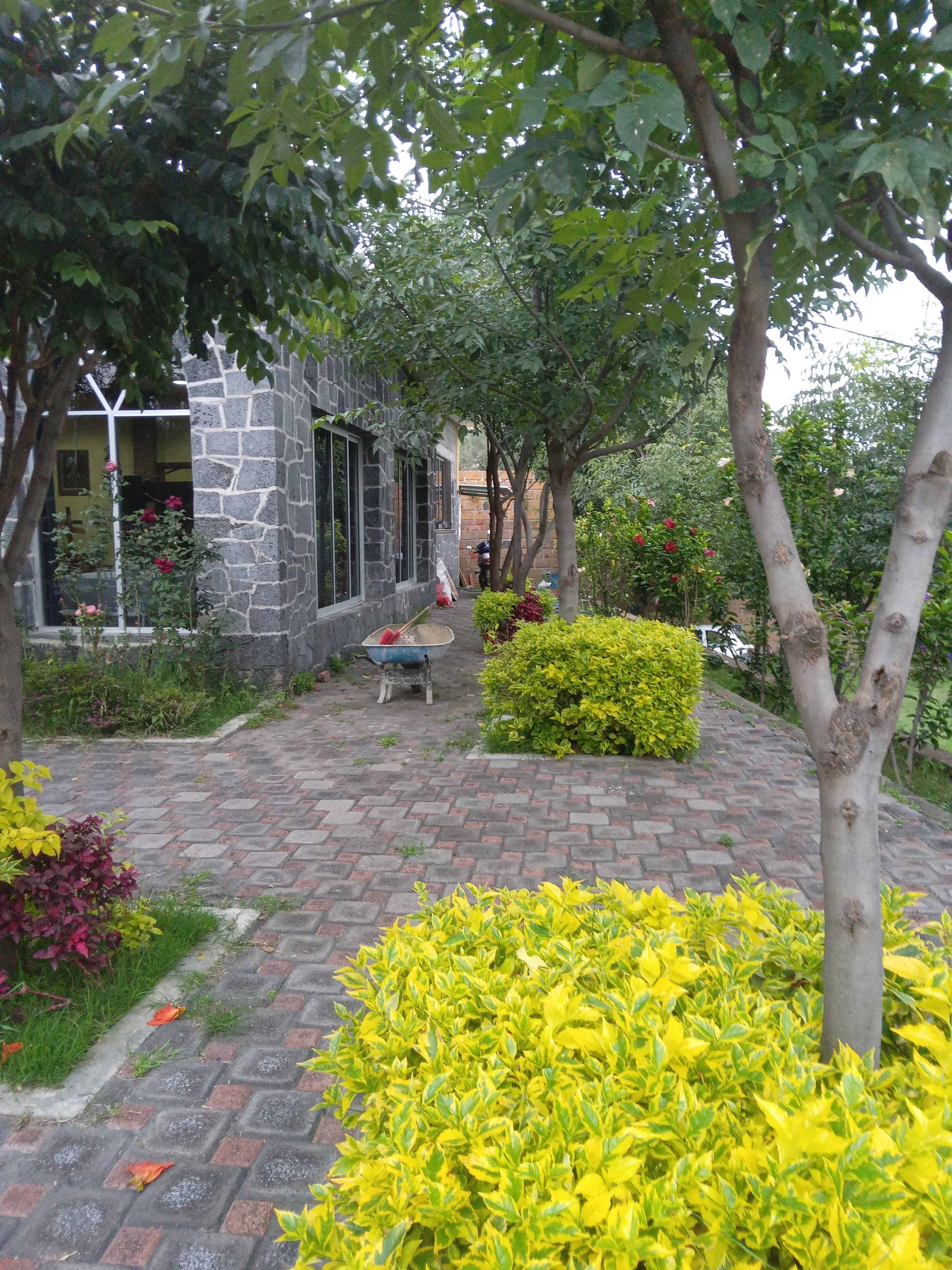 Los Colibríes image 7