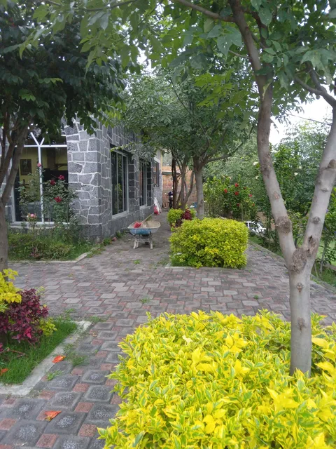 Los Colibríes image 7
