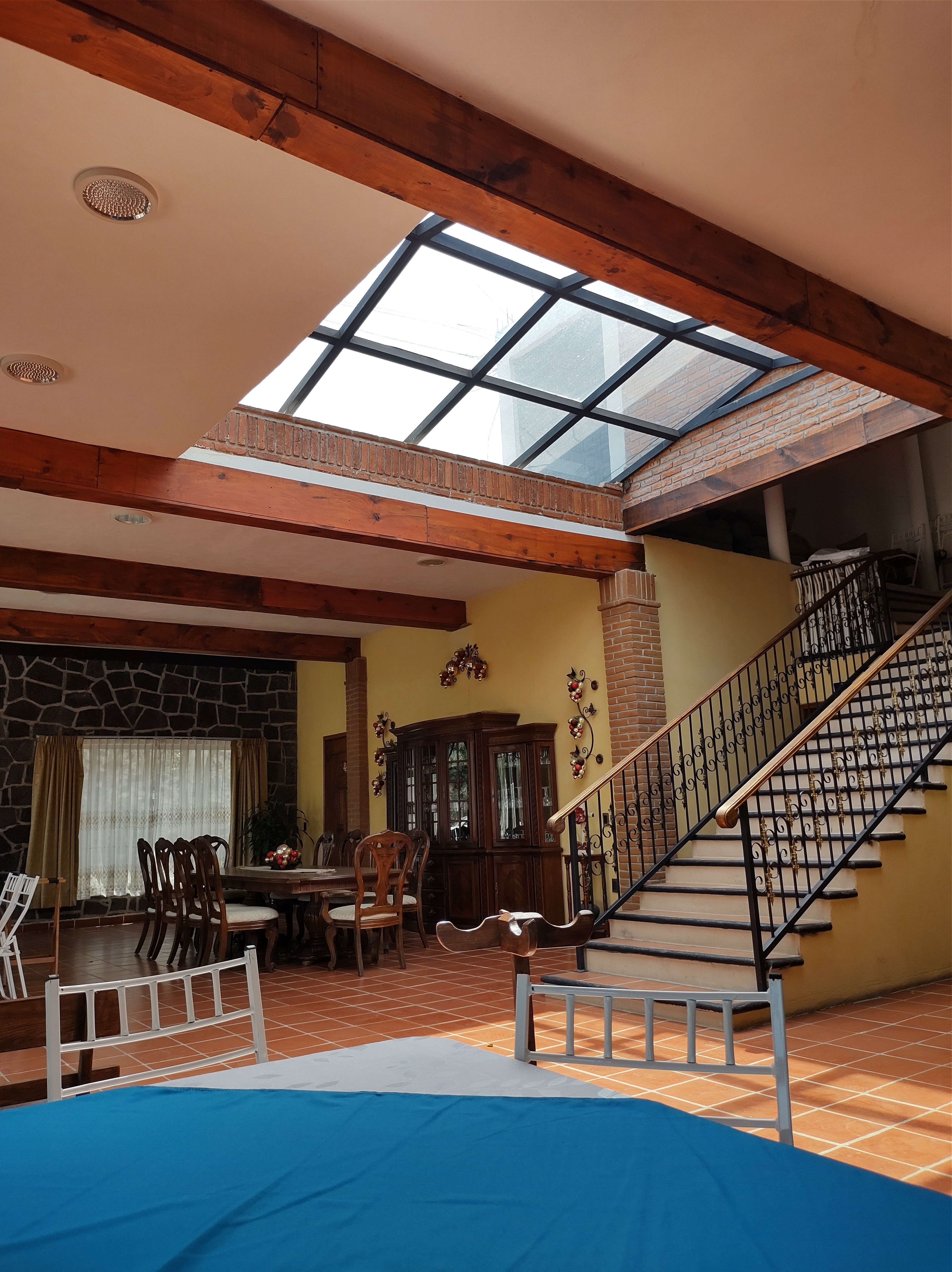 Los Colibríes image 8