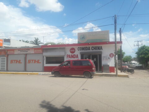 Panda House image 8