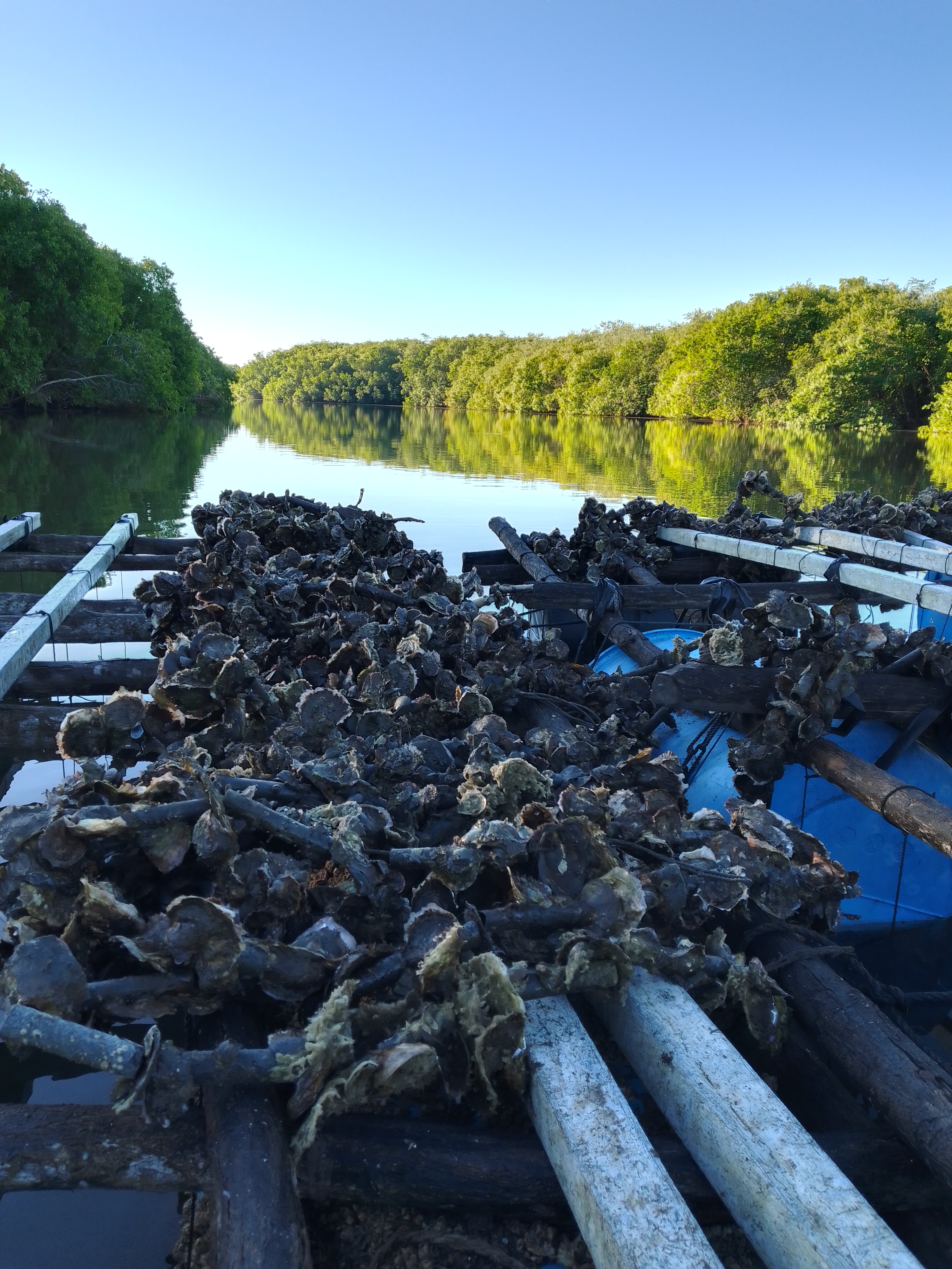 Malecon Wings image 3