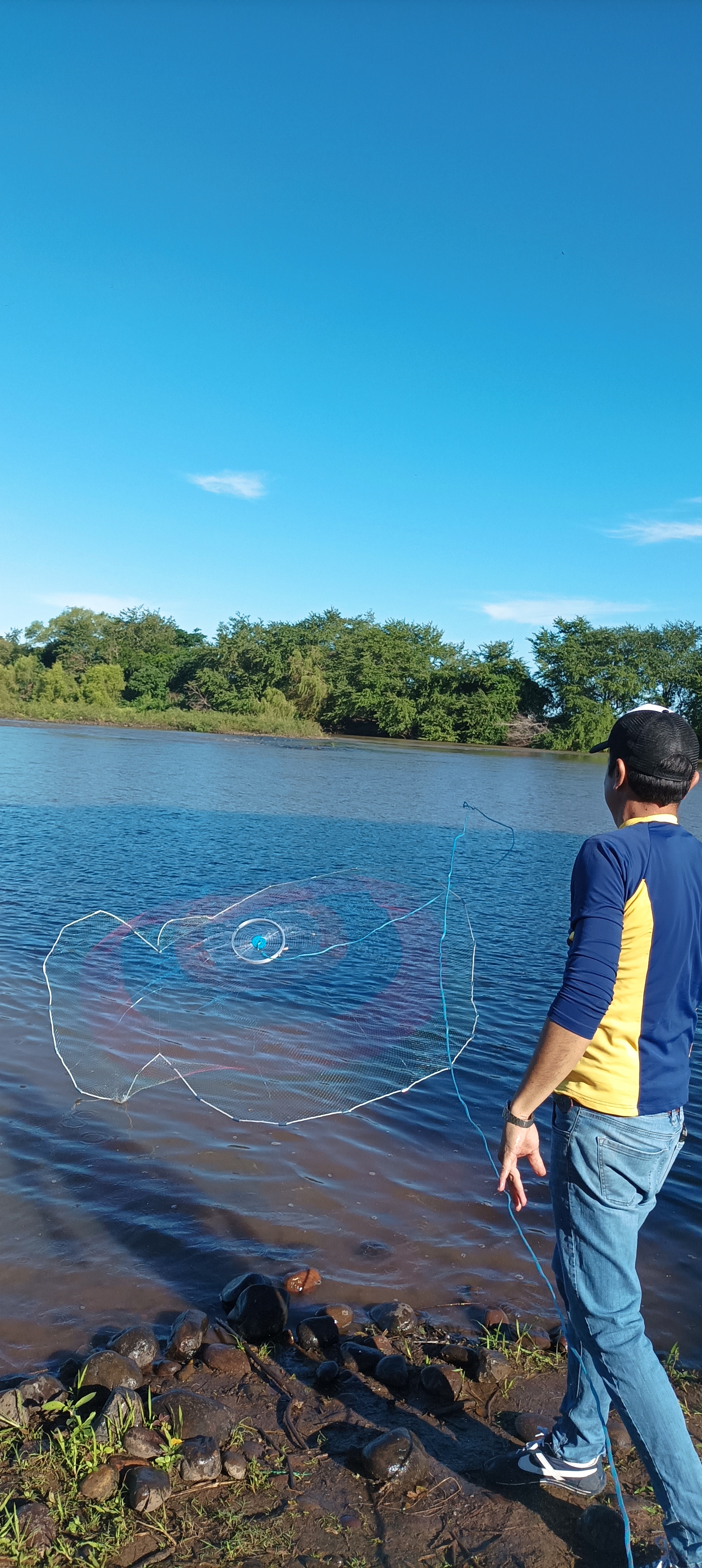 LOS TIGRLLOS image 2