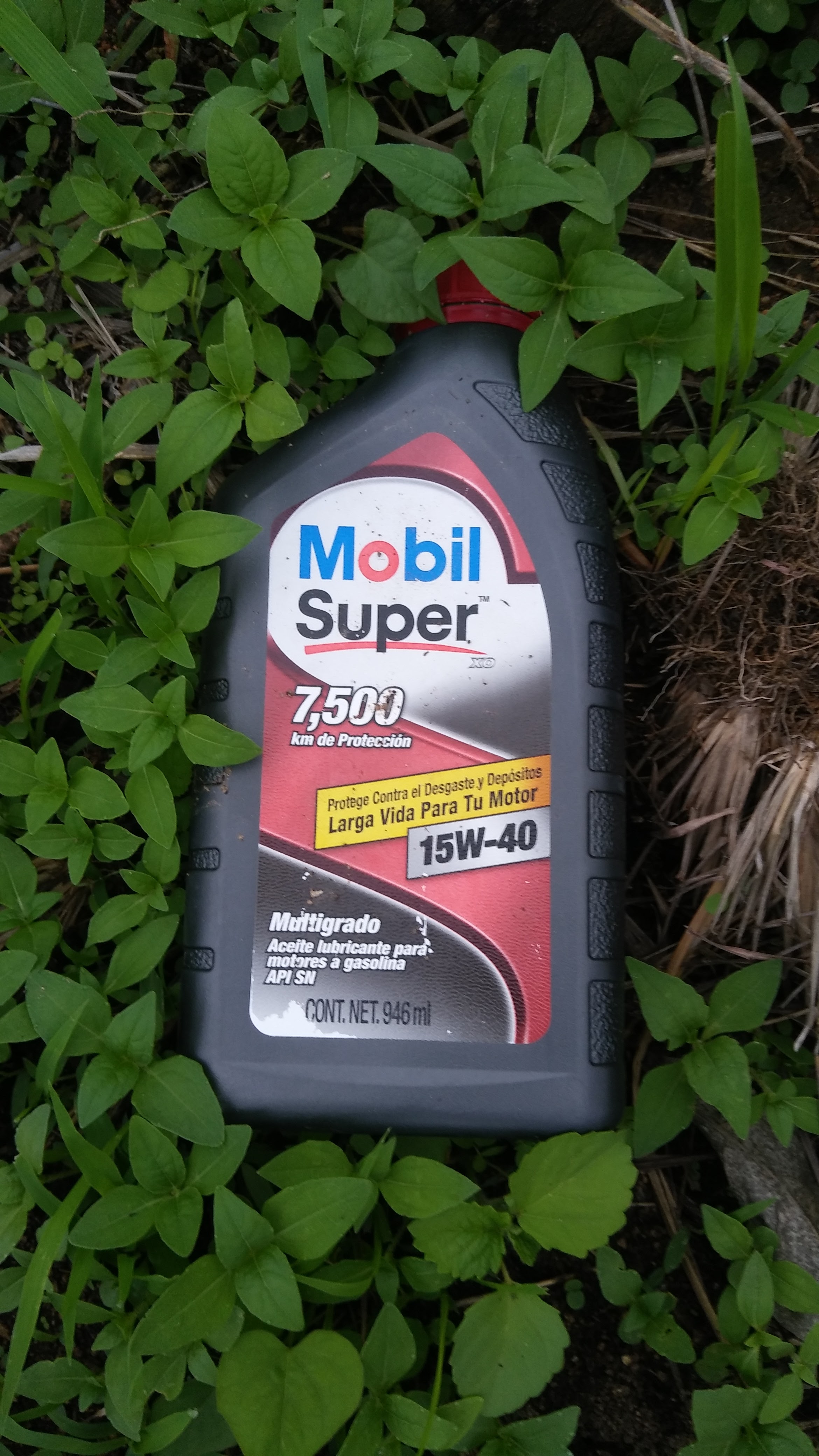 Fonda Juquilita image 8