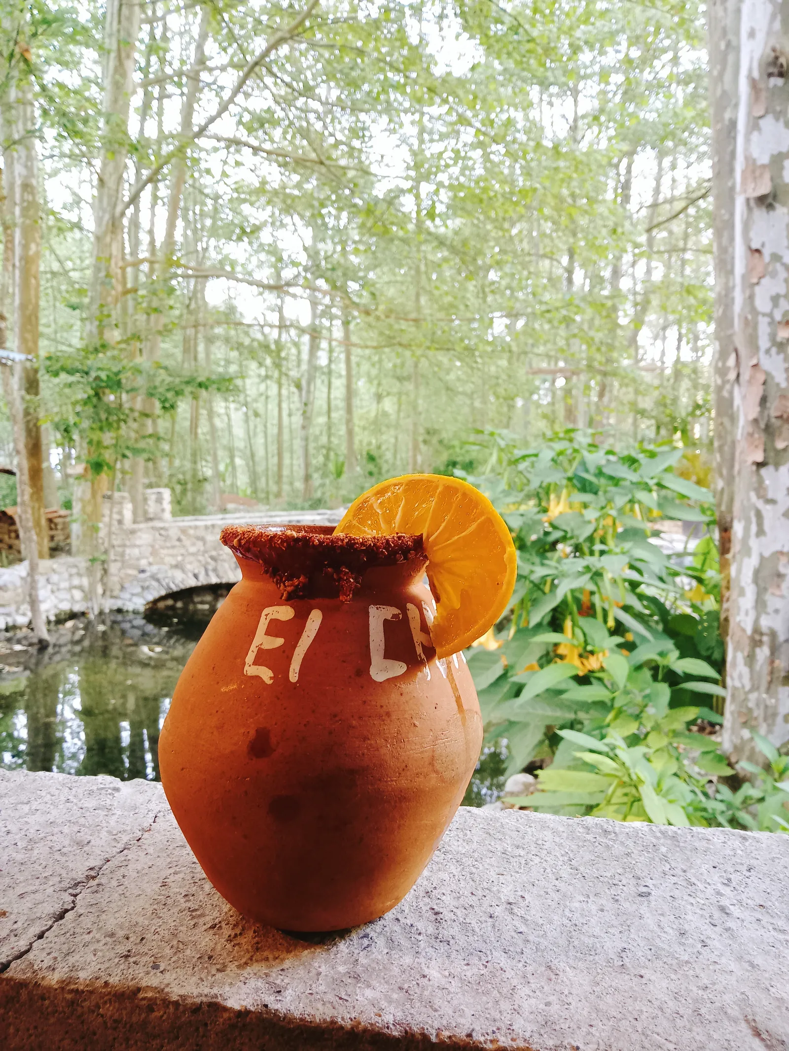 El chante image 5