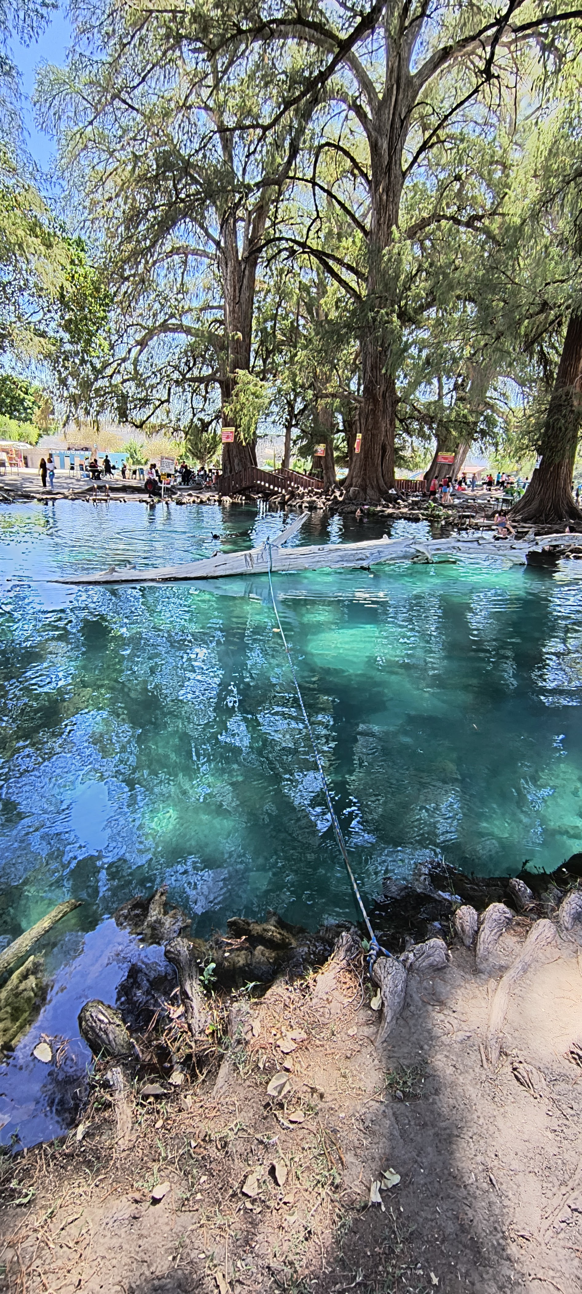 Los Aguacates image 3