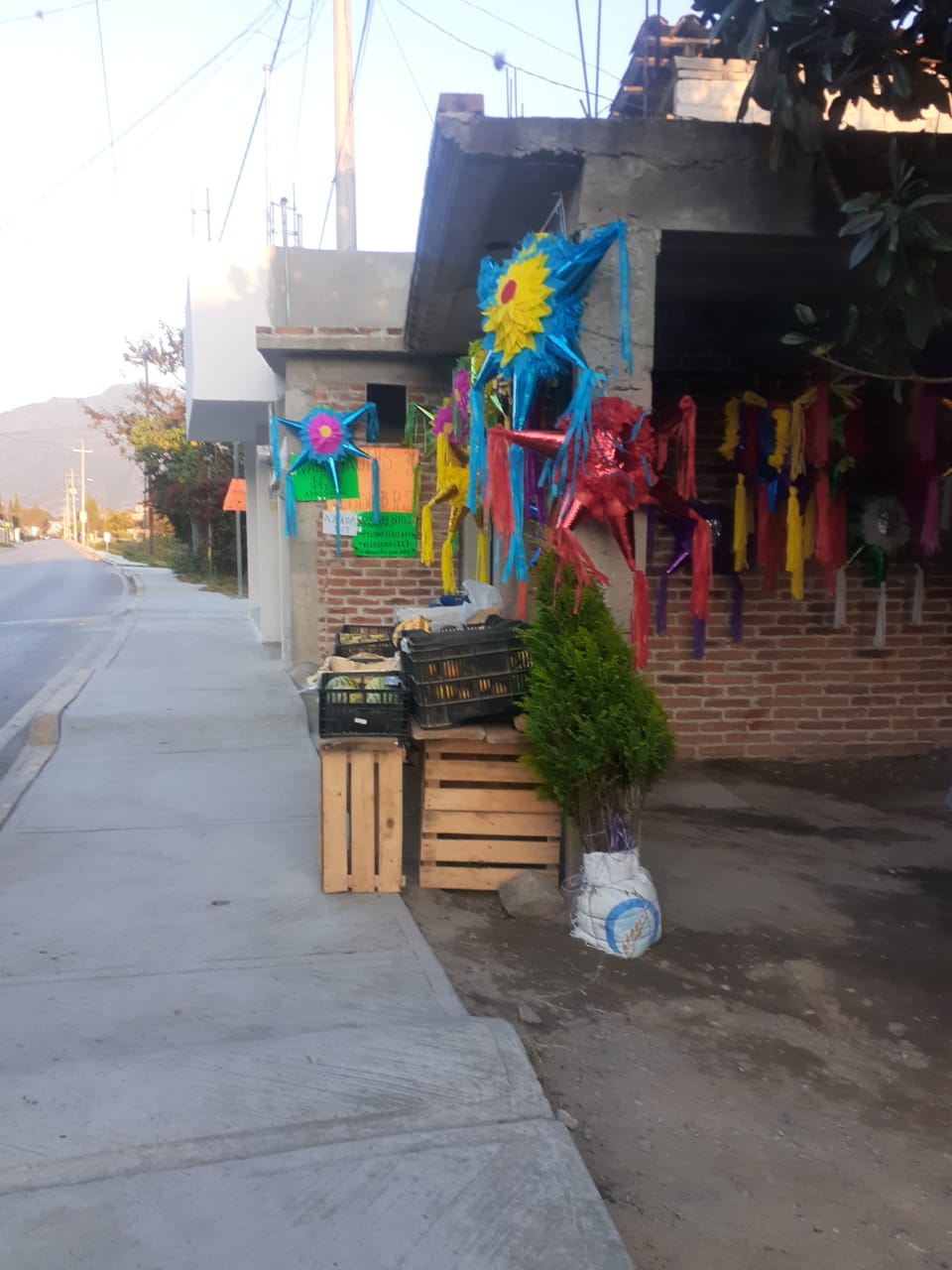 Los Aguacates image 4