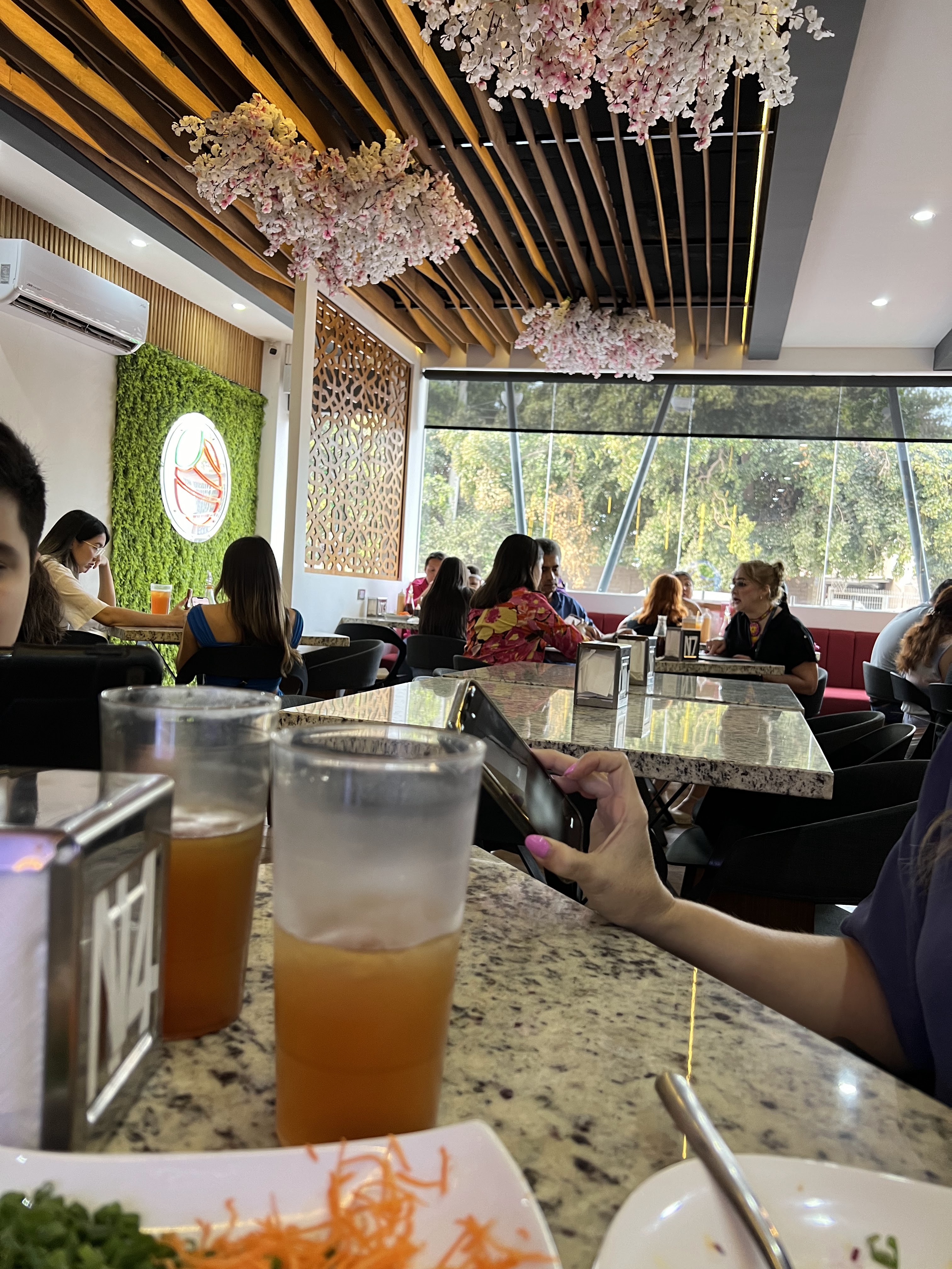 Akira Cocina Oriental image 5