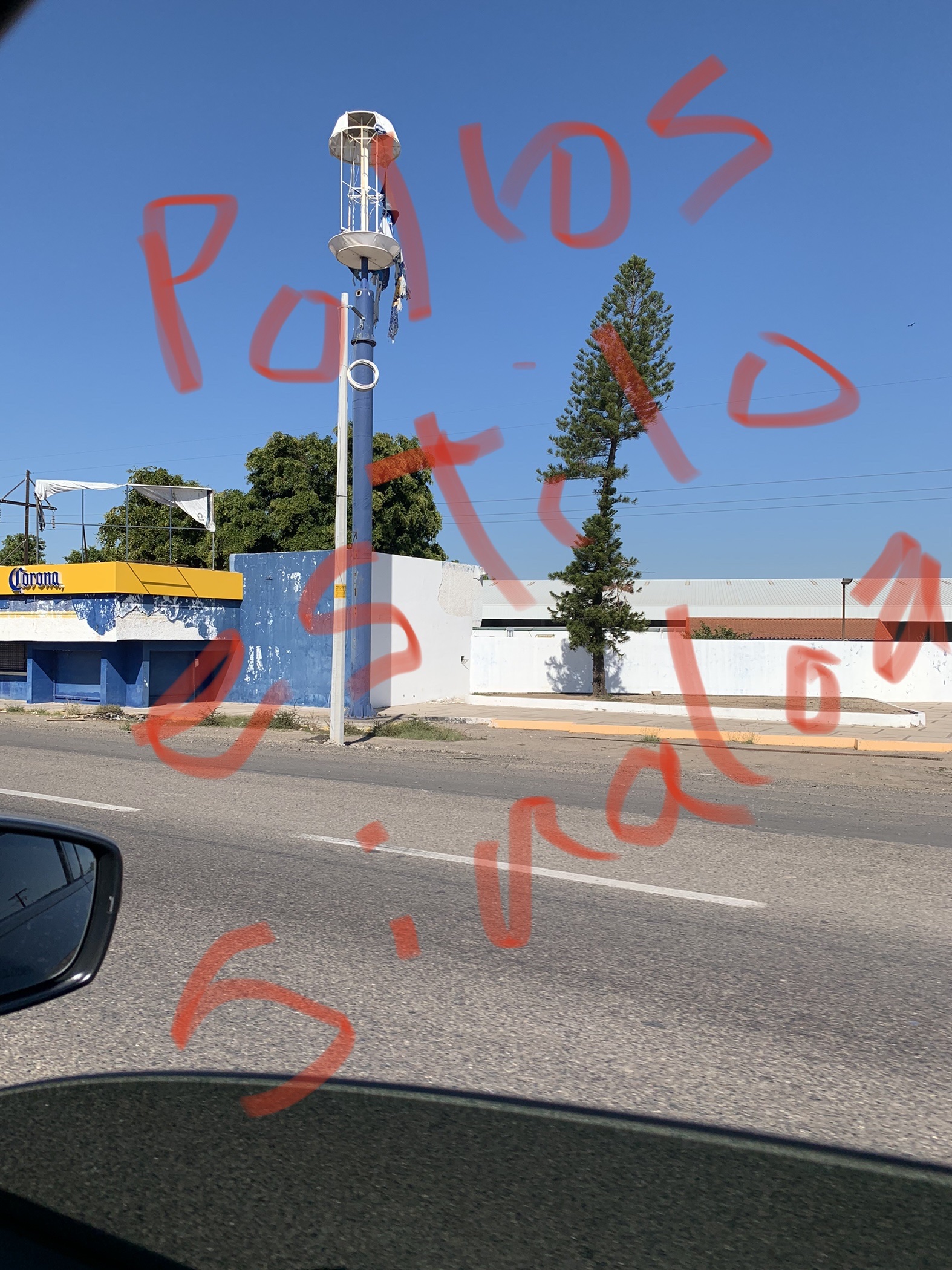 Seafood Restaurante image 4