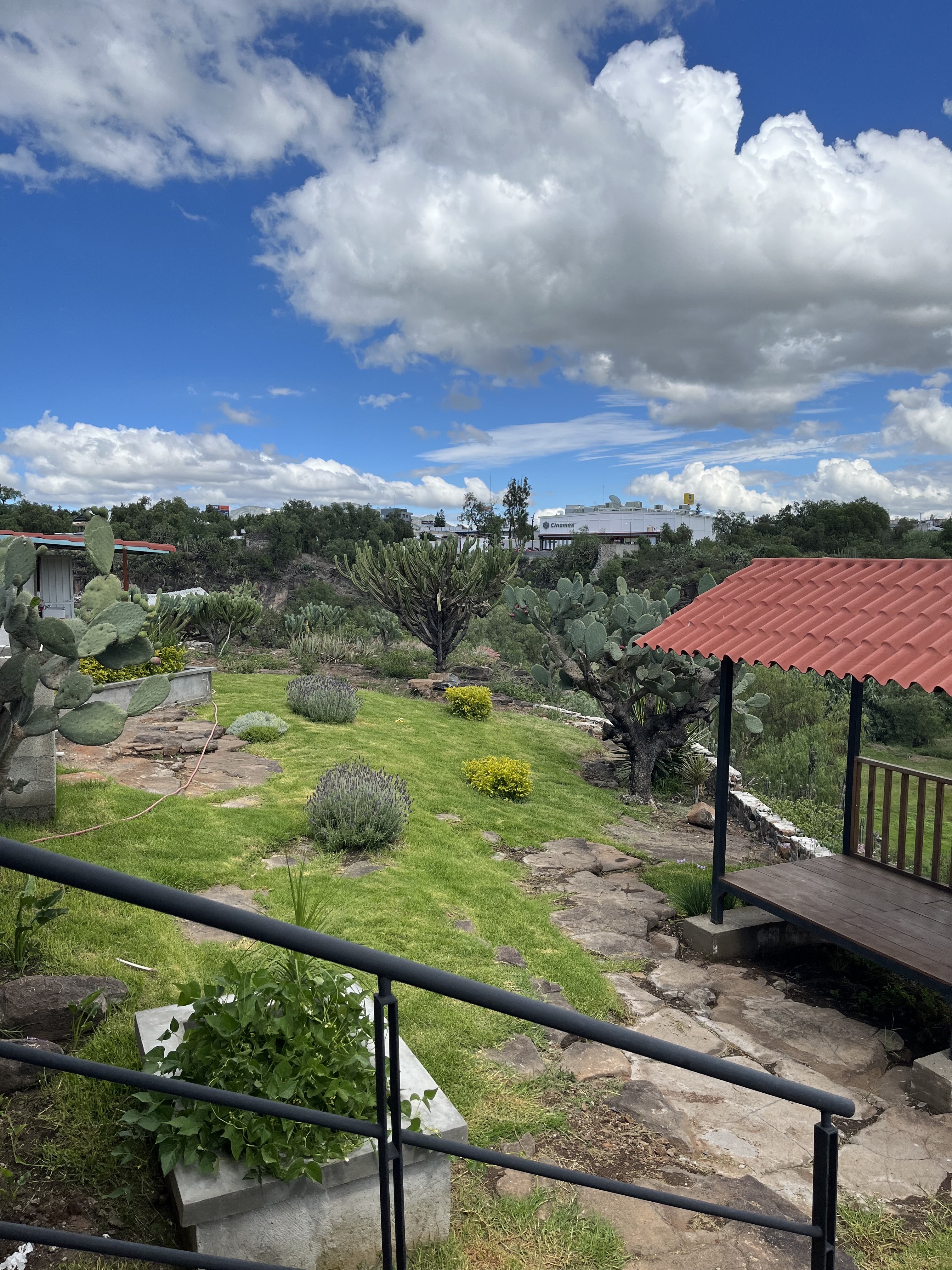 Asados “La Malquerida” image 8