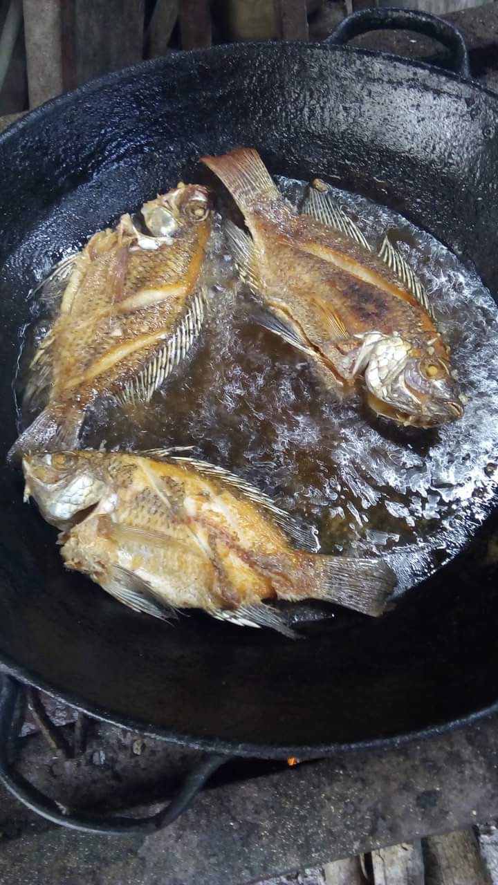 comedor doña maguitos image 4