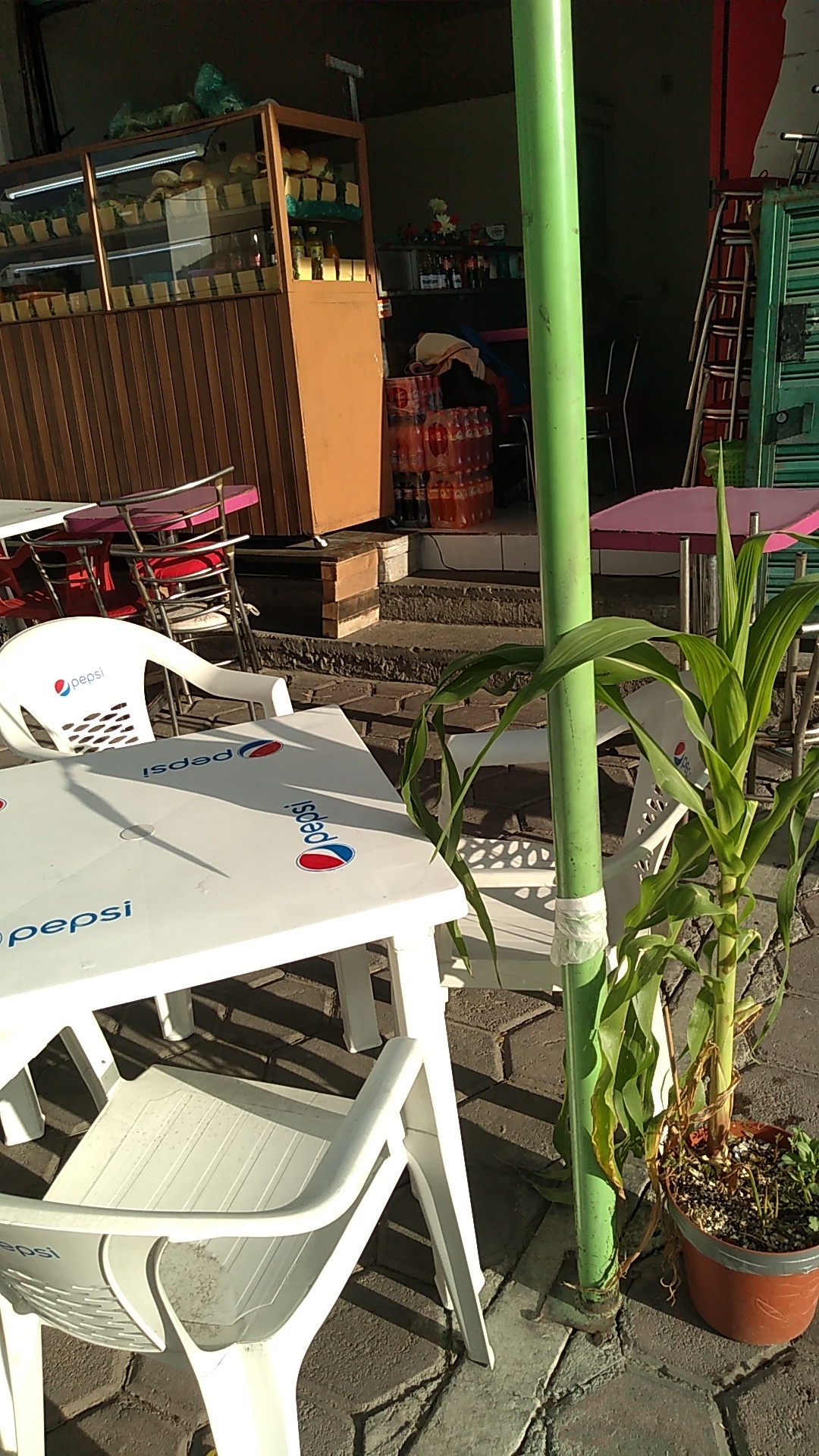 Cemitas Diana image 6