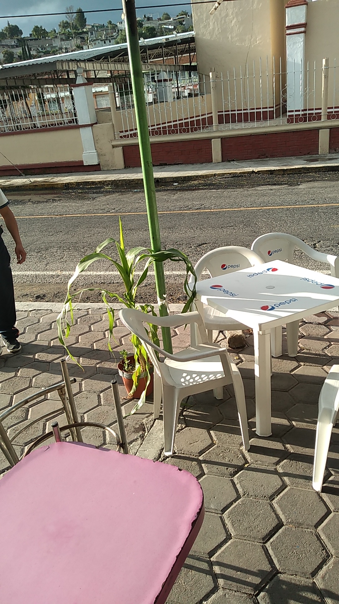 Cemitas Diana image 9