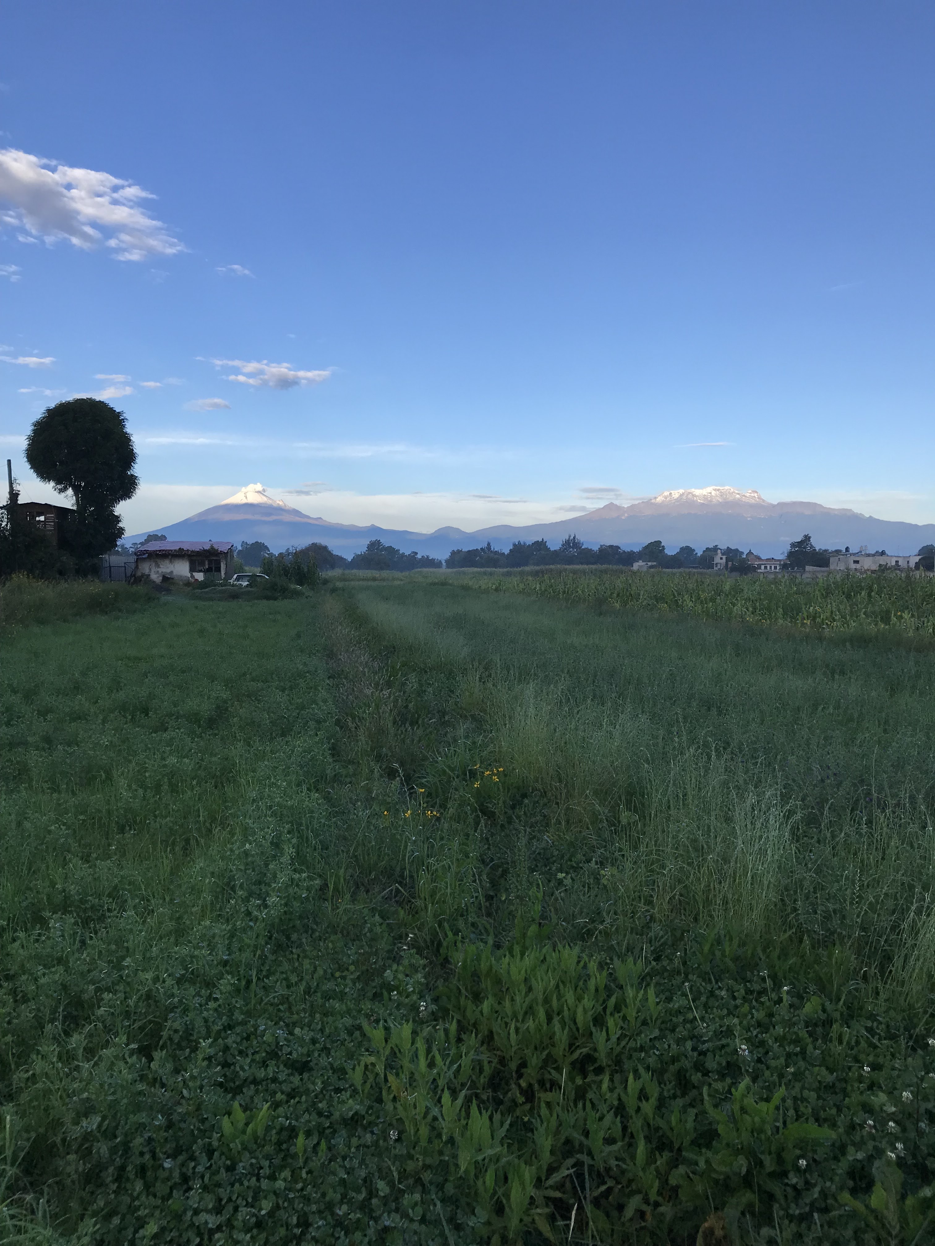 Pachamama Nahui Nativa image 2