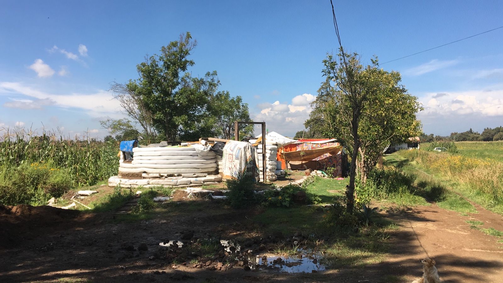 Pachamama Nahui Nativa image 3