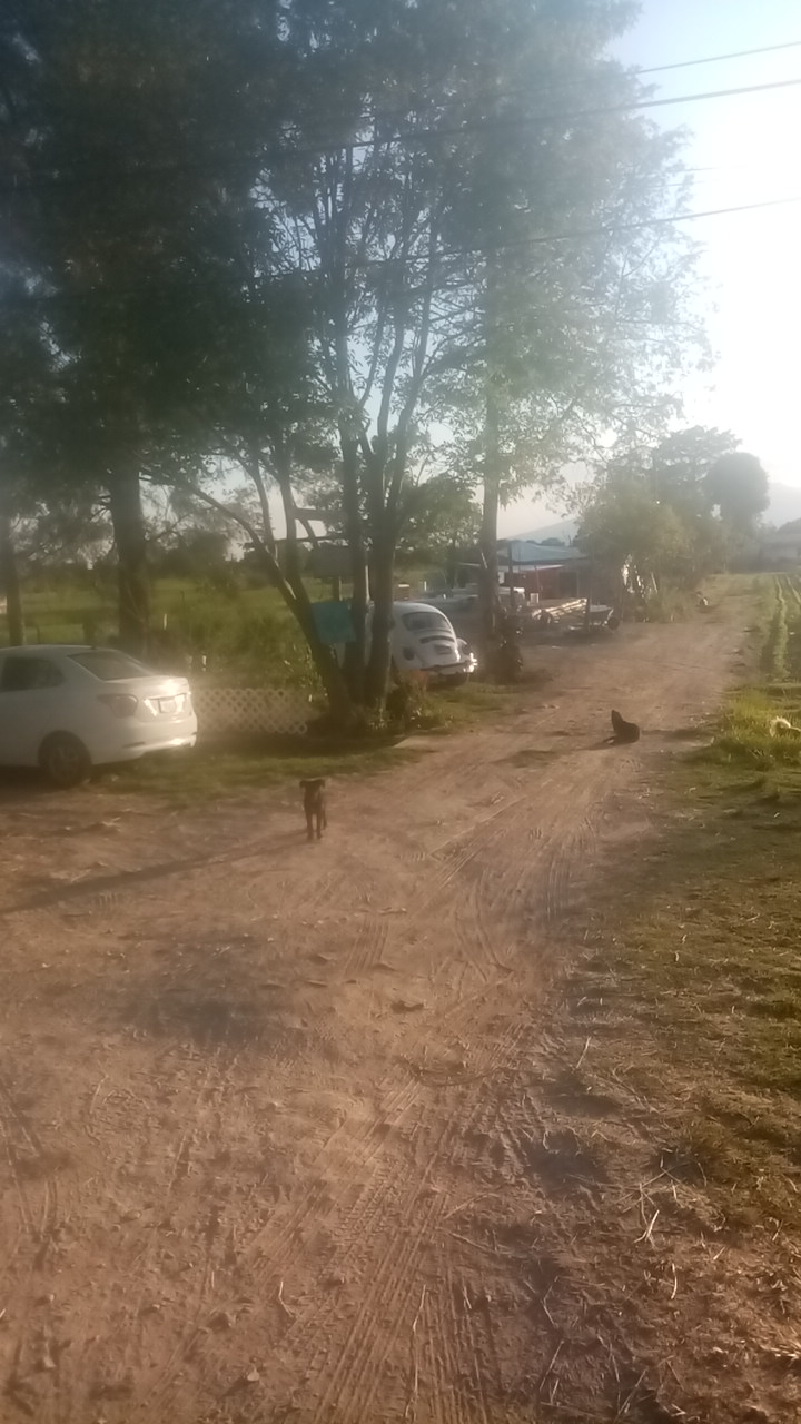 Pachamama Nahui Nativa image 5