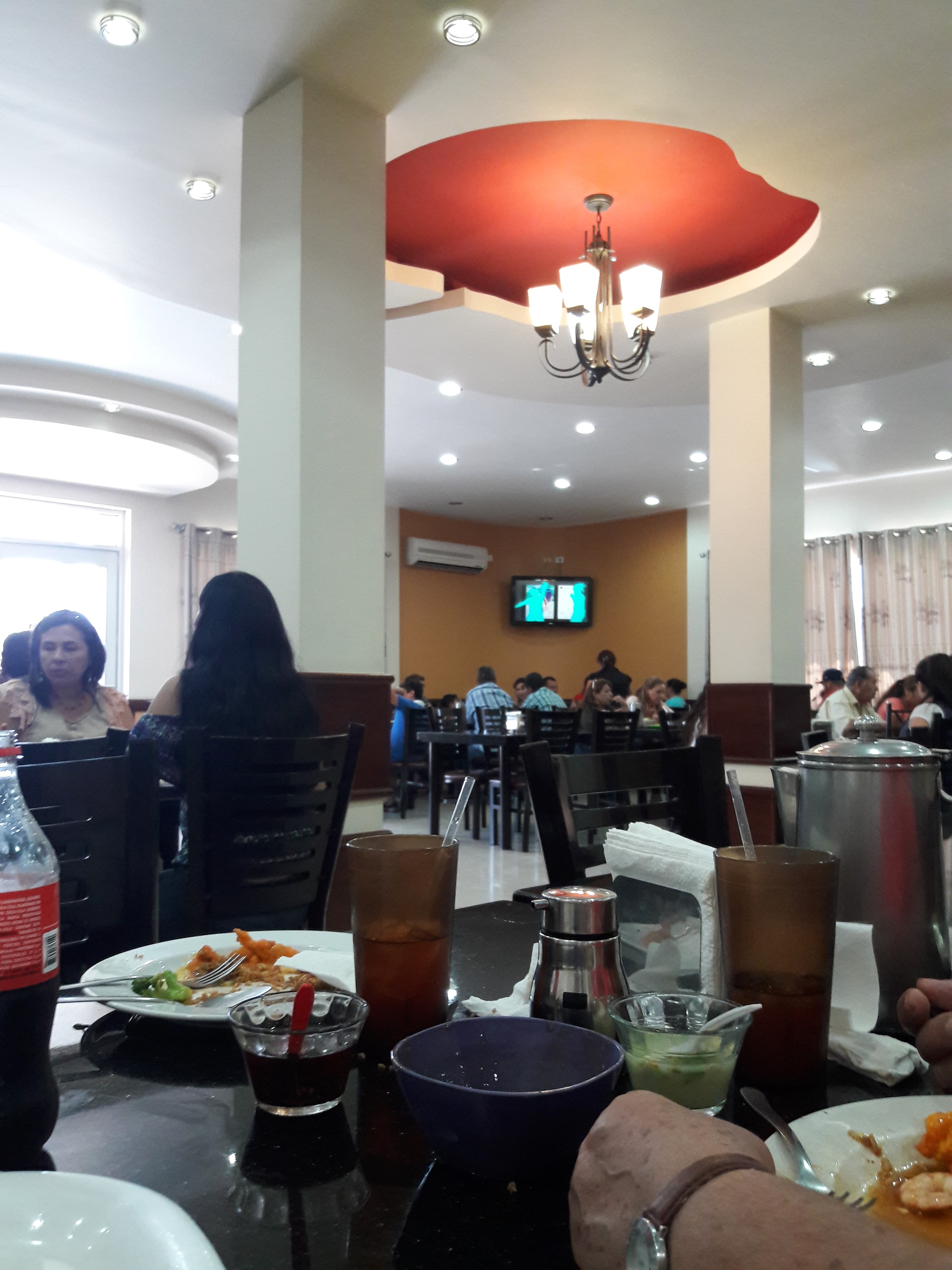 Nido de pájaro image 1