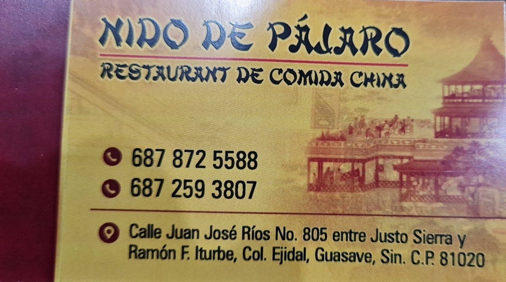 Nido de pájaro image 8