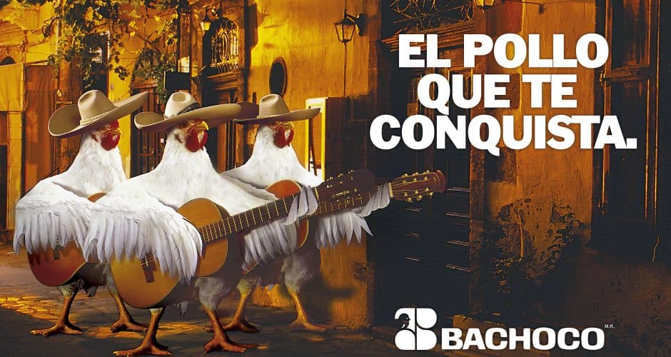 Cremeria y Pollo Fresco image 3