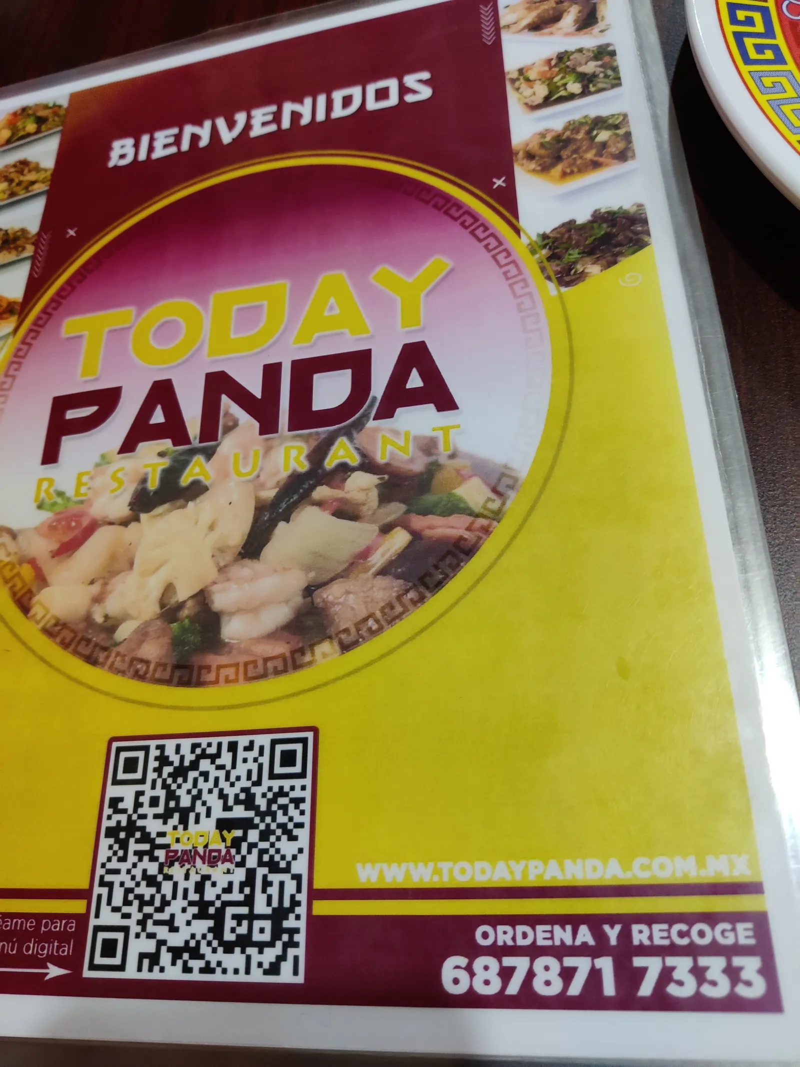 Today Panda image 10