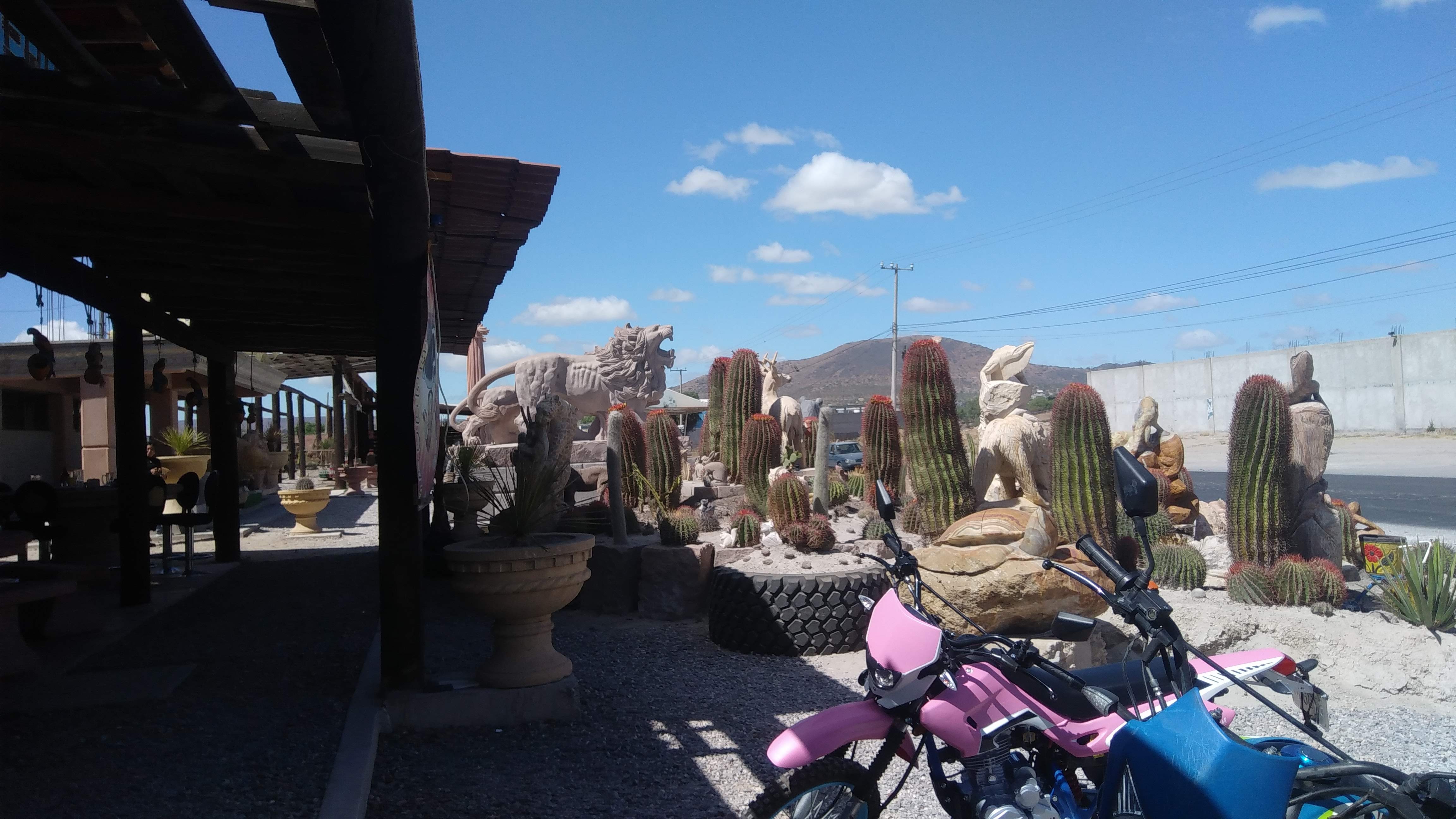 Restaurante Leones Norteños image 7